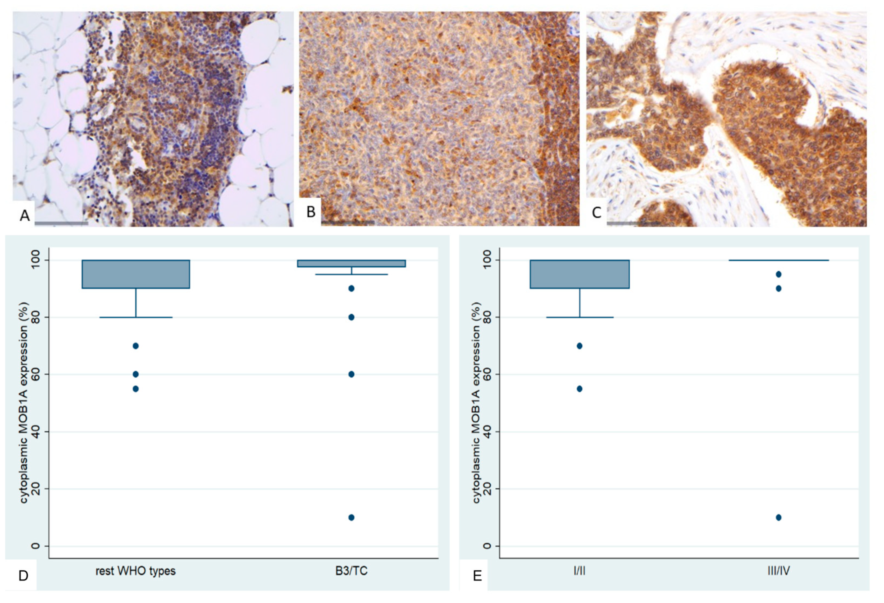Preprints 161031 g005
