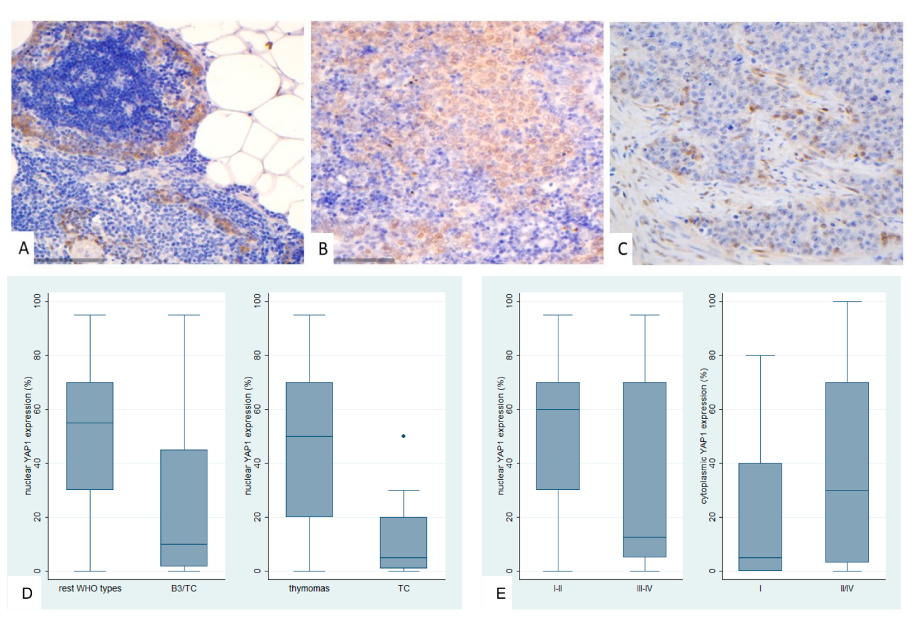 Preprints 161031 g006