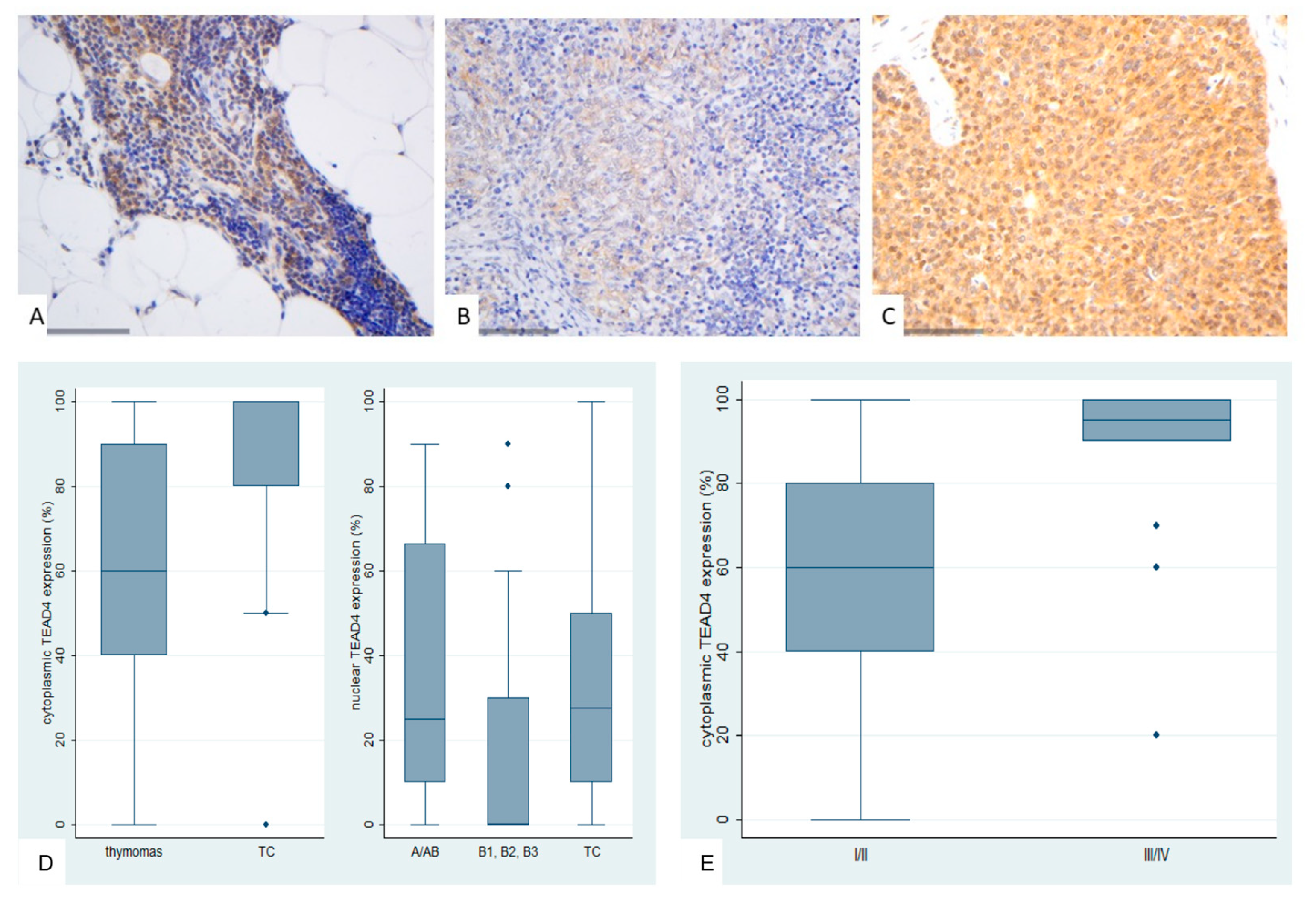 Preprints 161031 g009