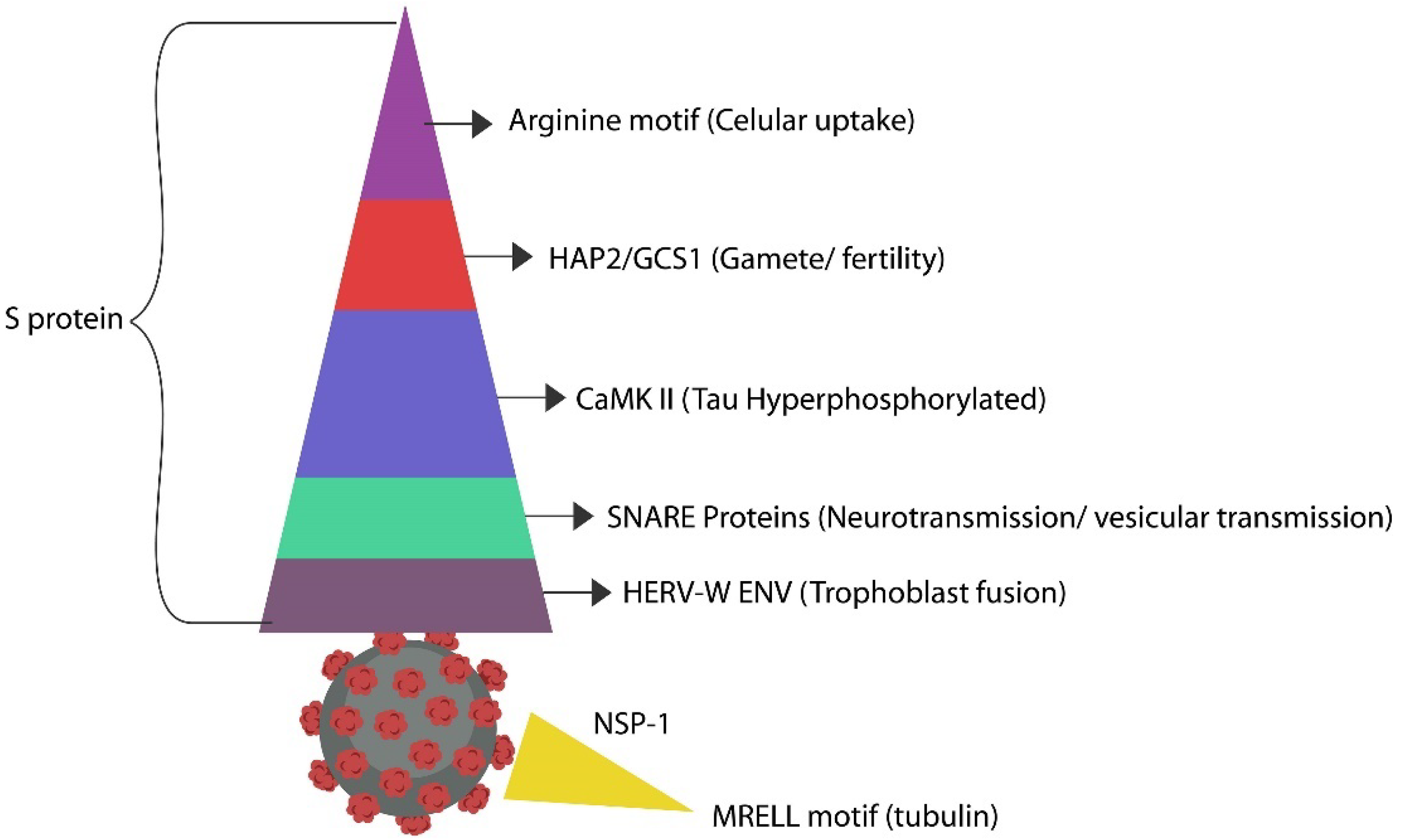 Preprints 140889 g003
