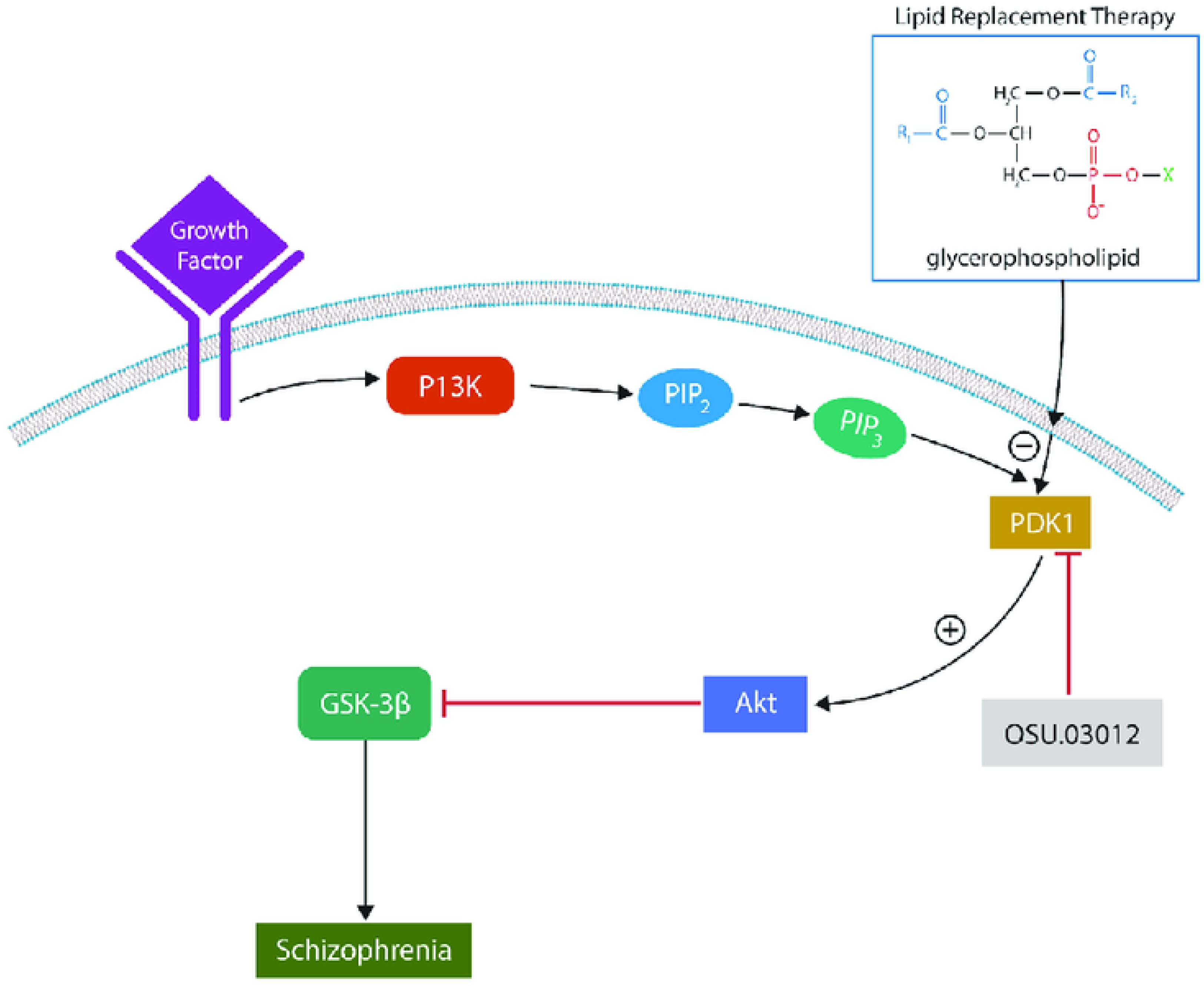 Preprints 140889 g004
