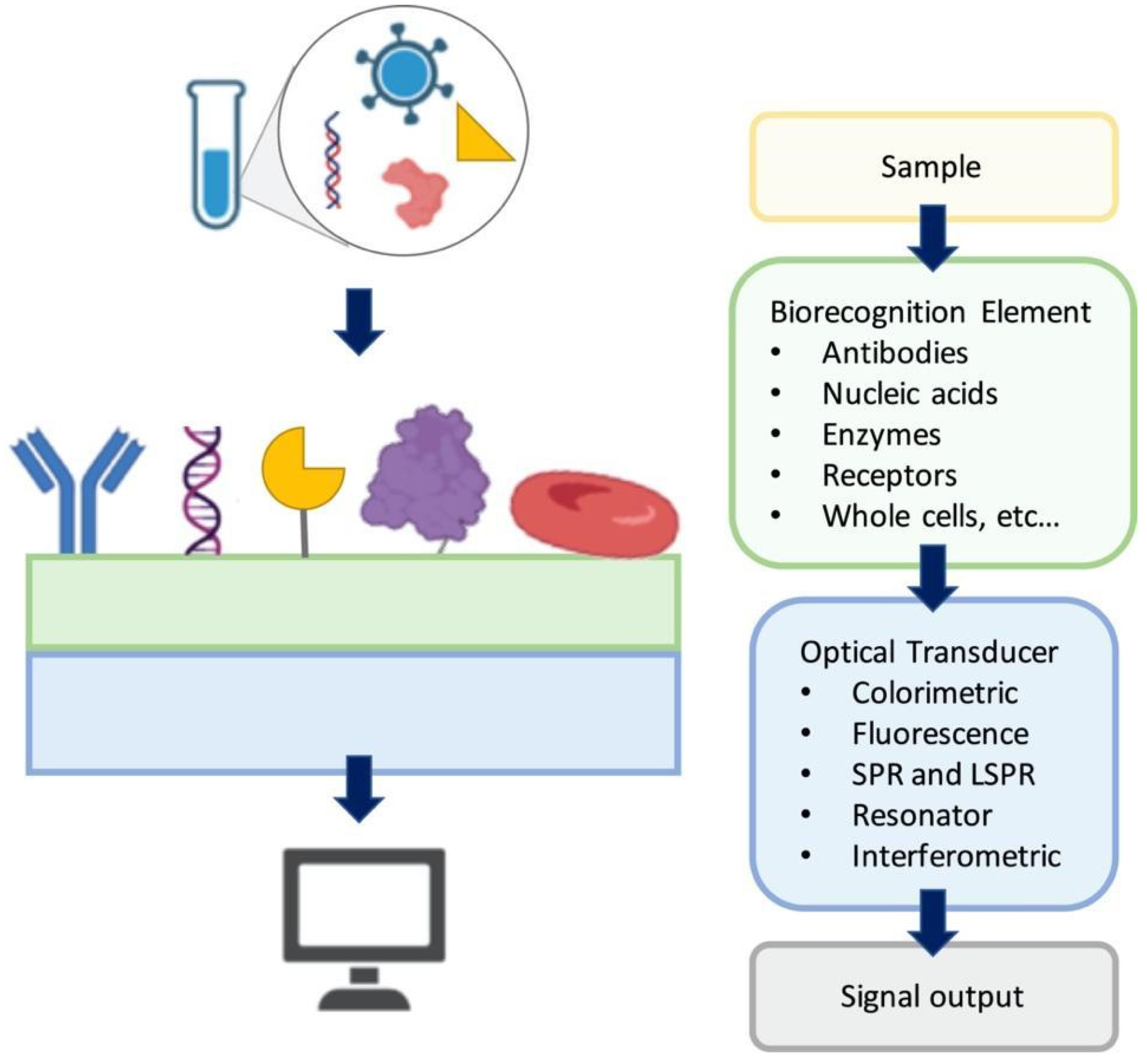 Preprints 71778 g001