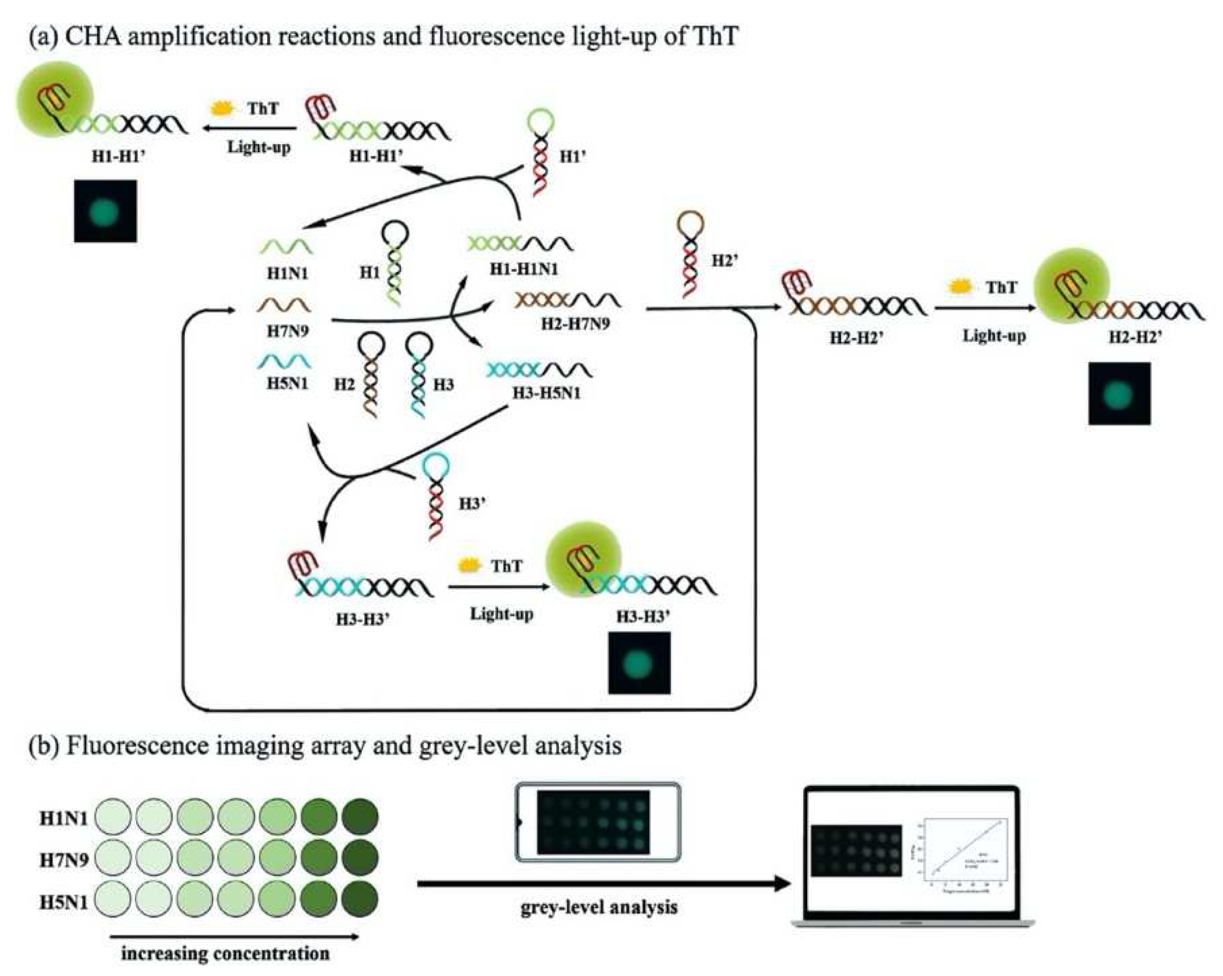 Preprints 71778 g002