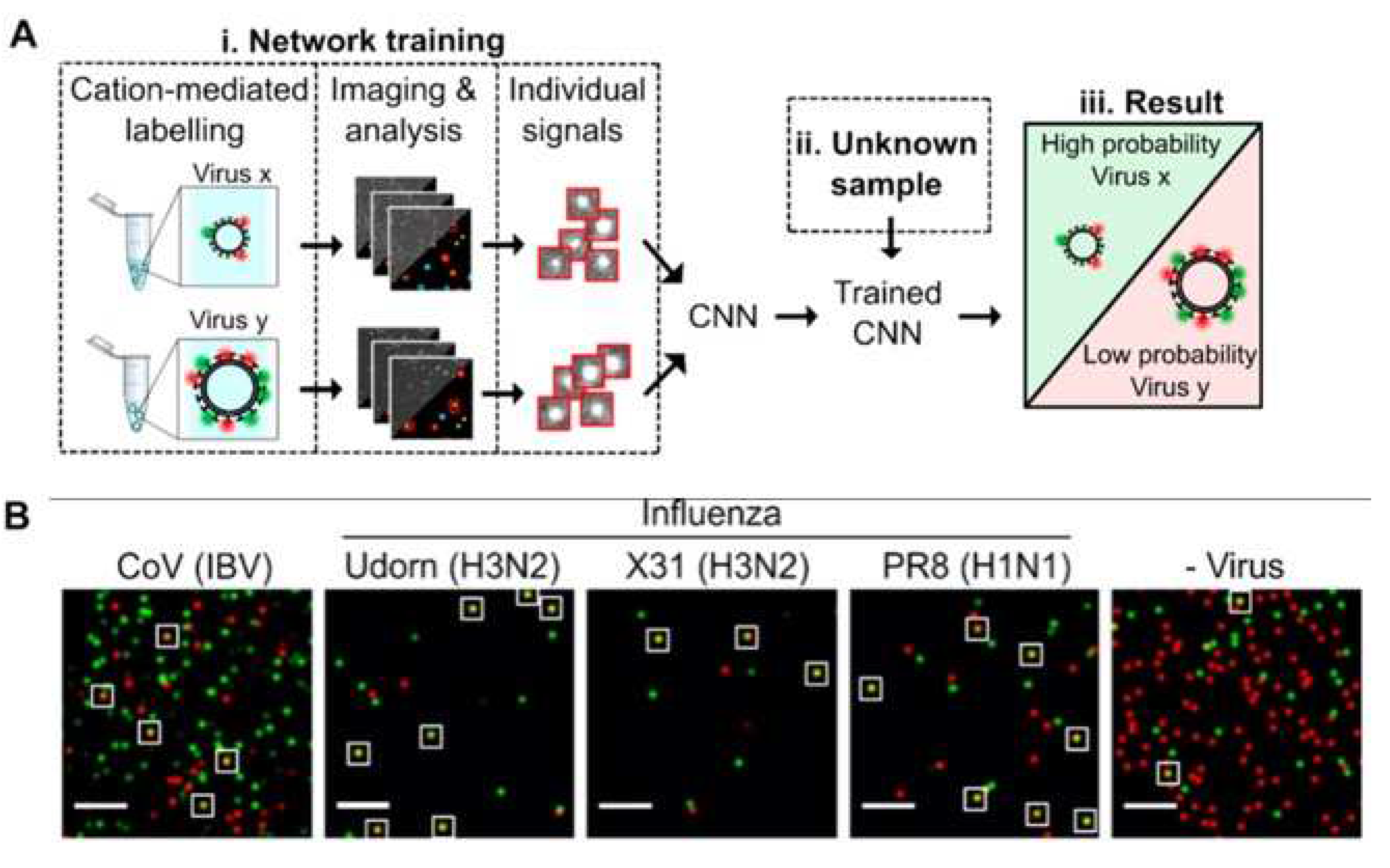 Preprints 71778 g004