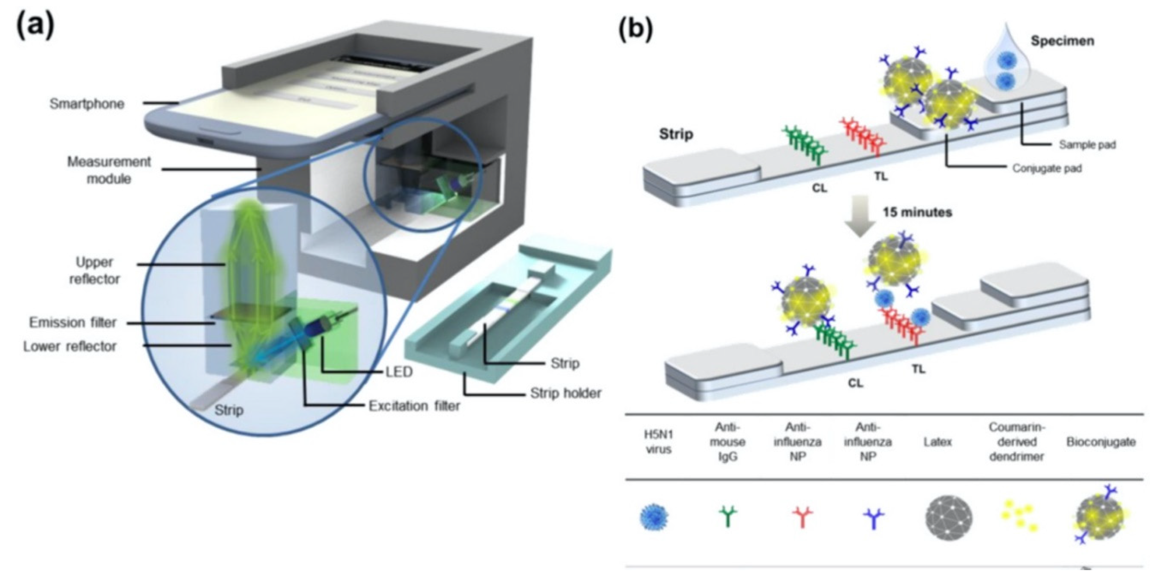 Preprints 71778 g005