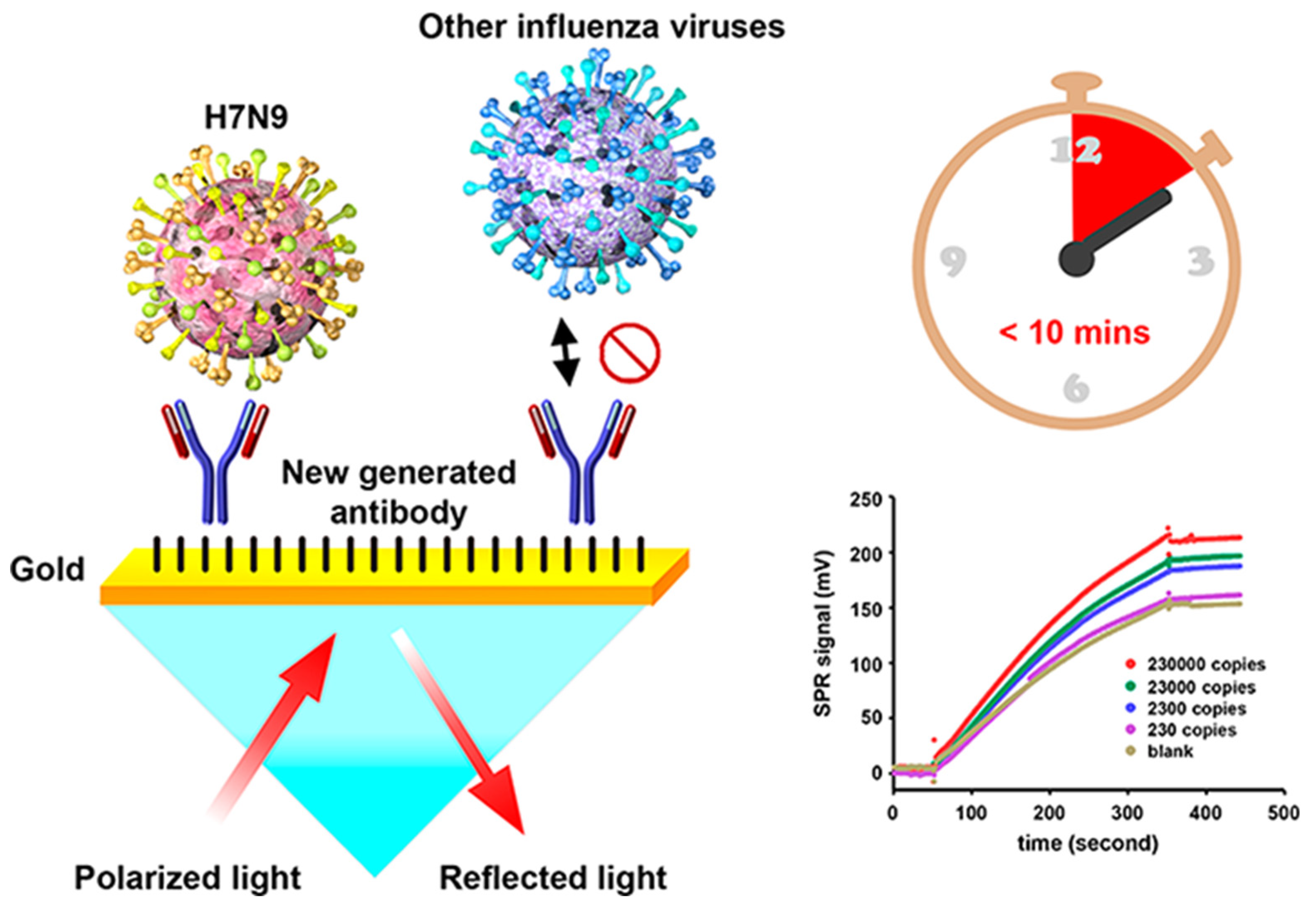 Preprints 71778 g007