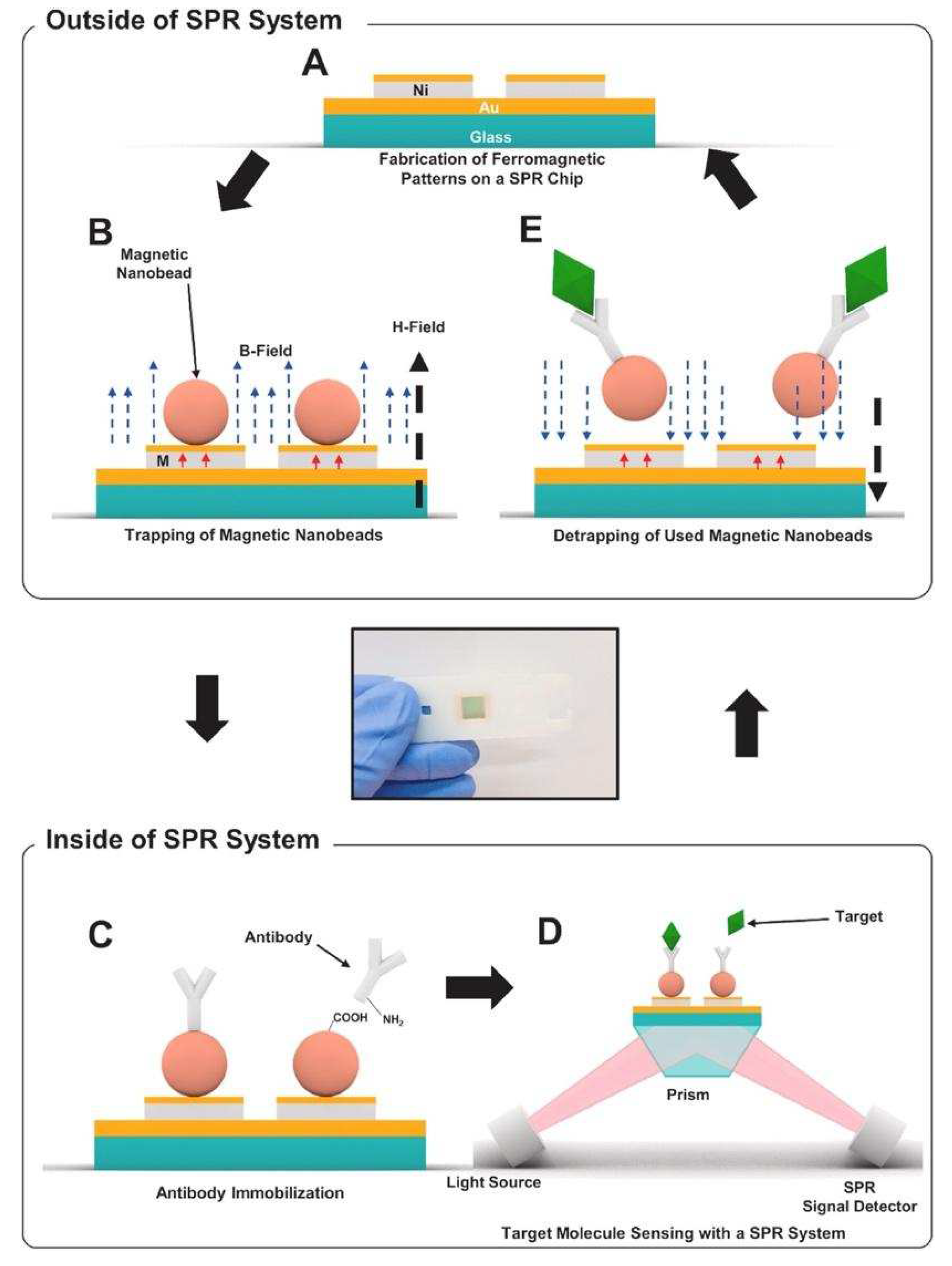 Preprints 71778 g008