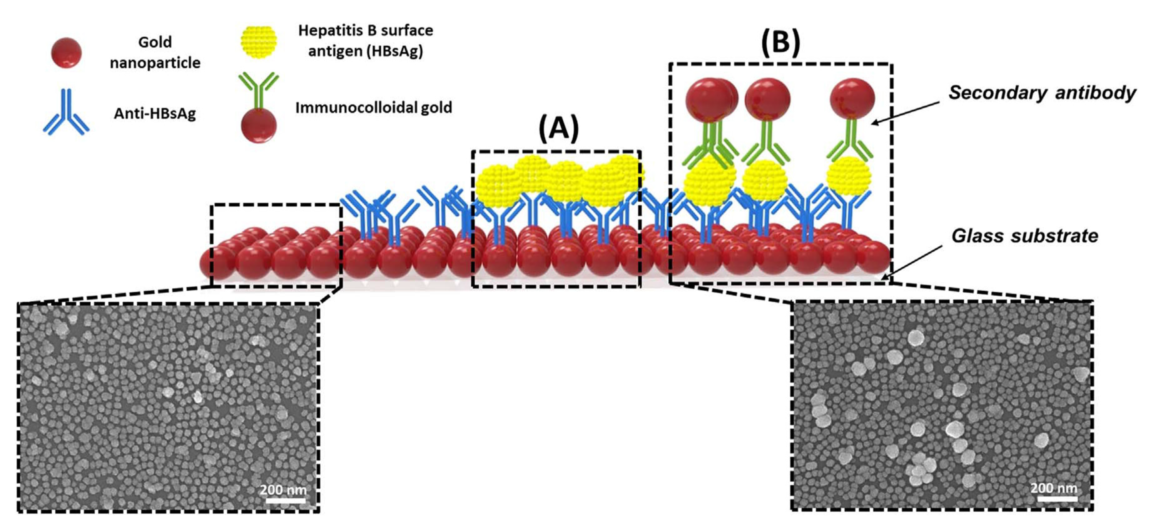 Preprints 71778 g009