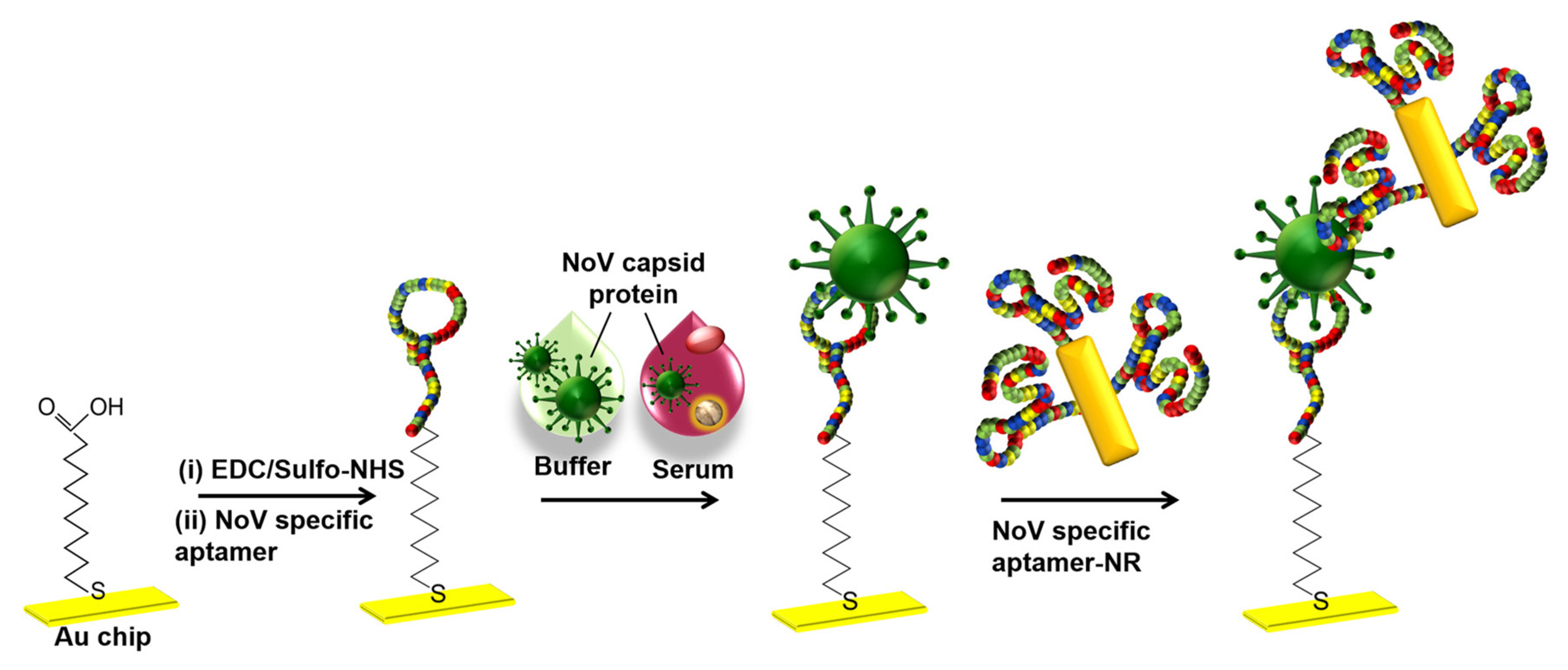 Preprints 71778 g010a