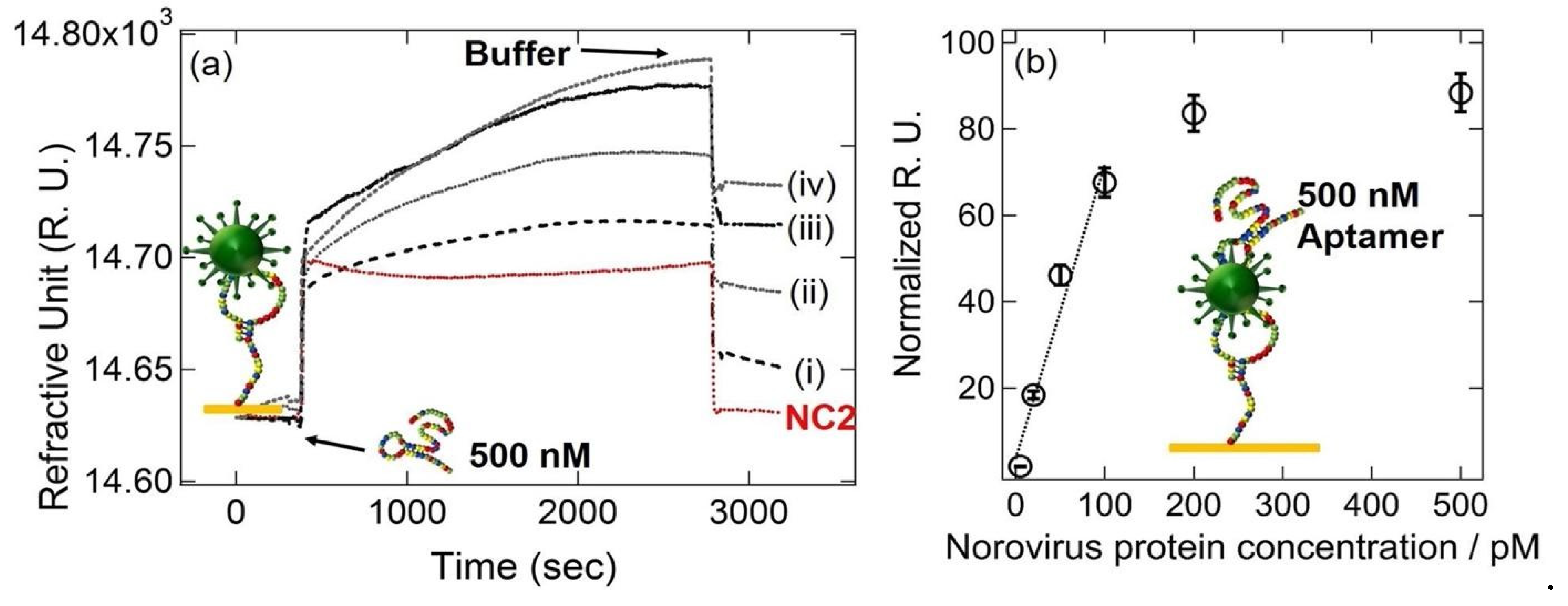 Preprints 71778 g010b