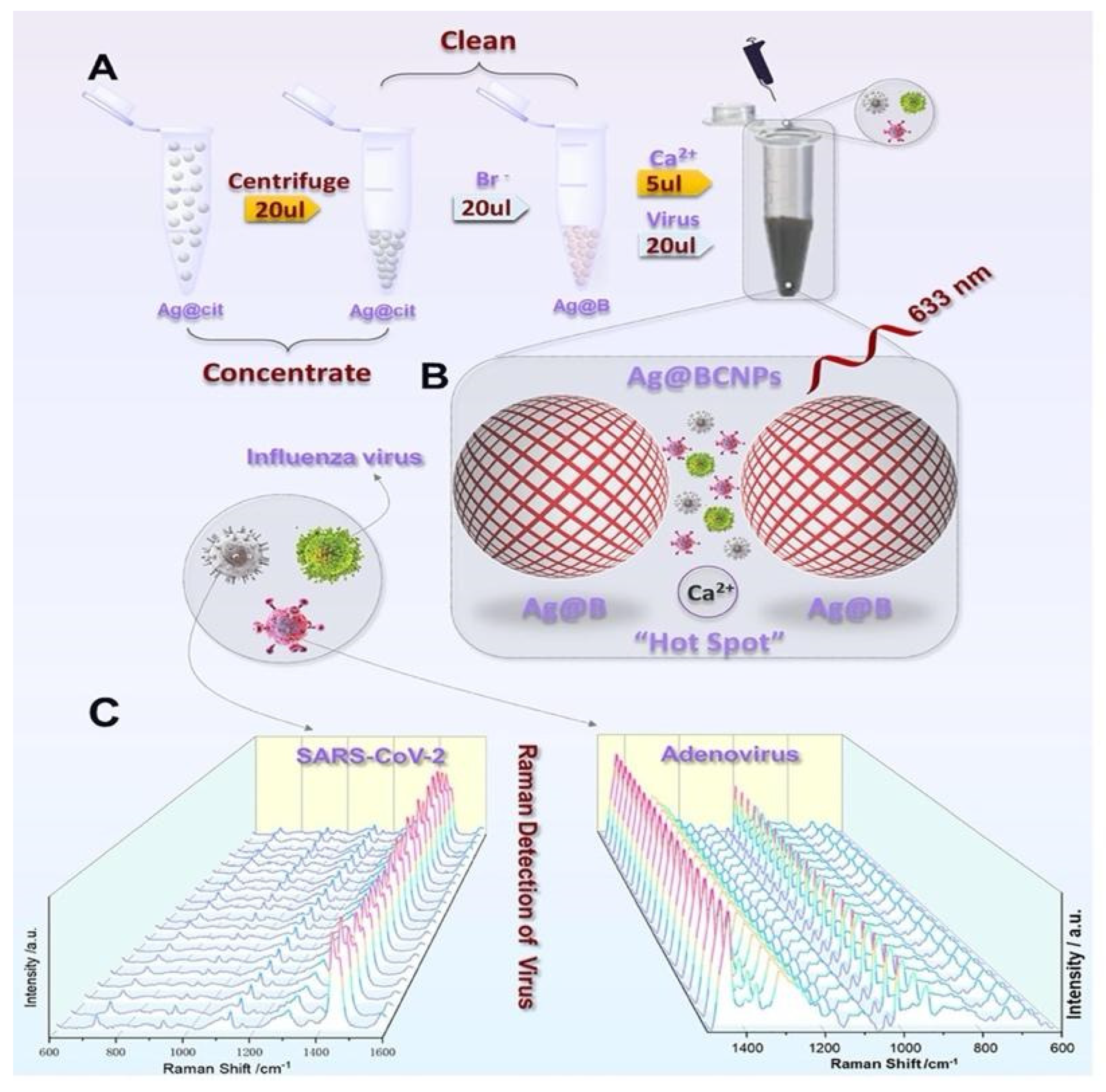 Preprints 71778 g012