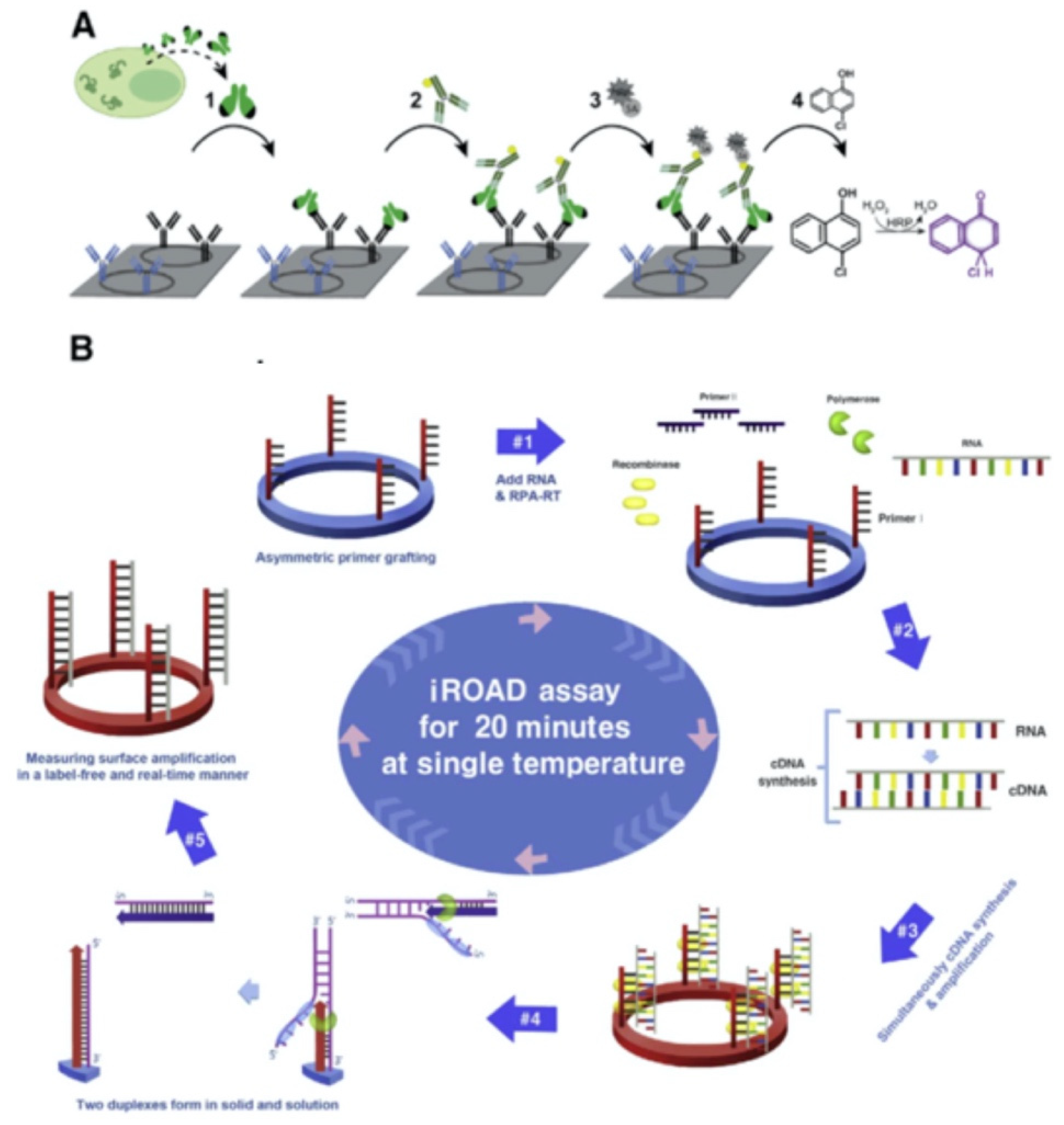 Preprints 71778 g013