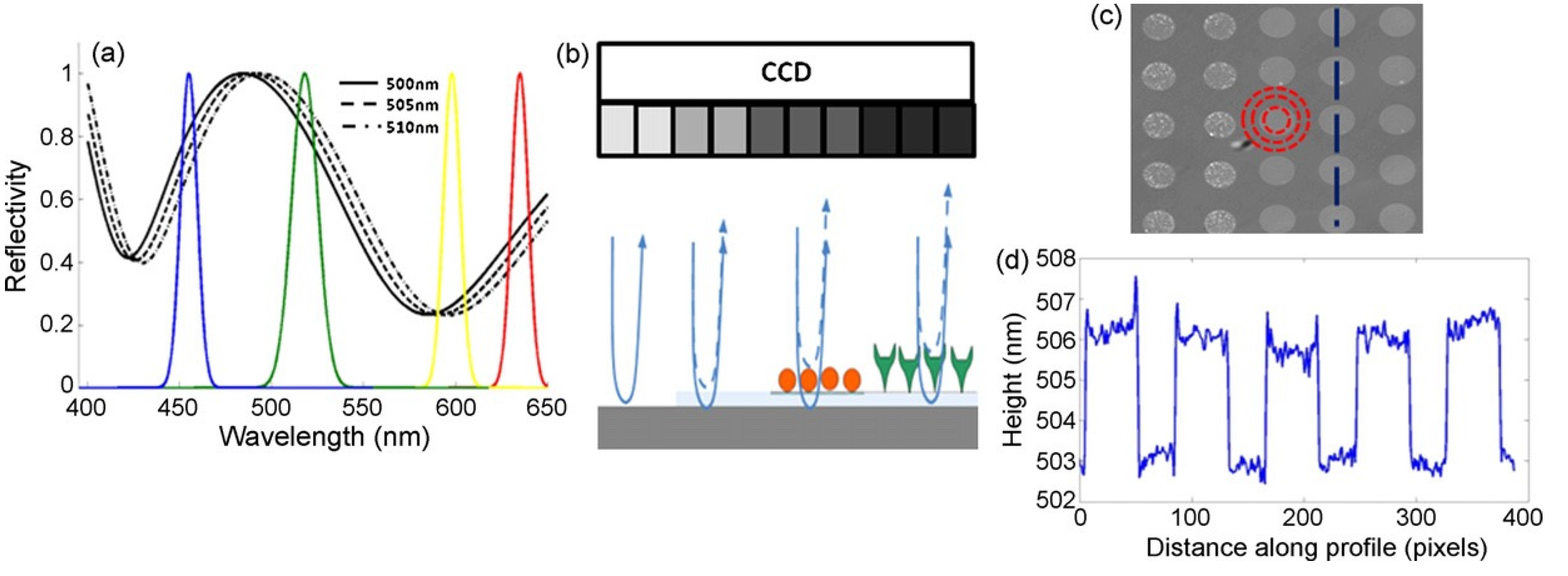 Preprints 71778 g014