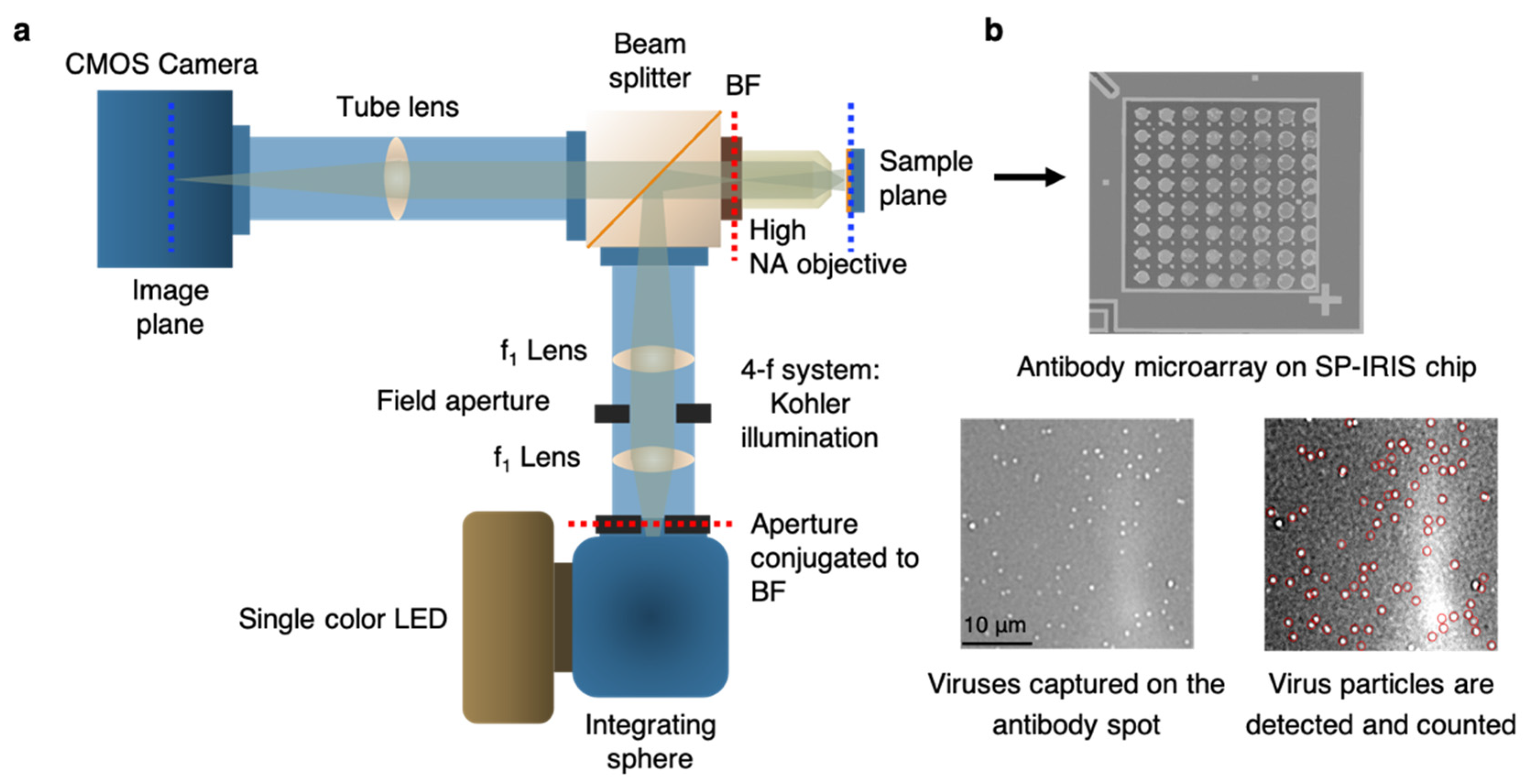 Preprints 71778 g015