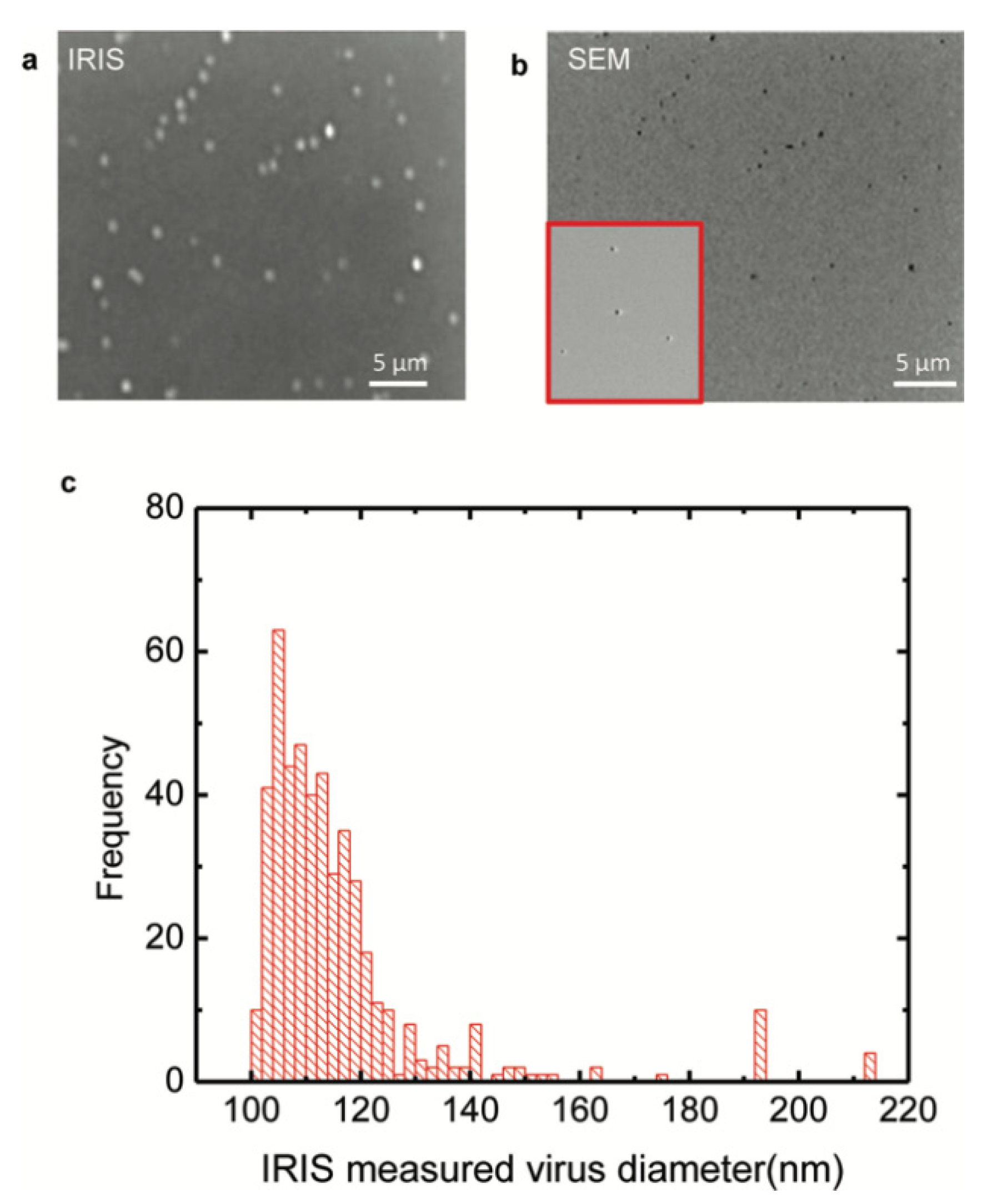 Preprints 71778 g016
