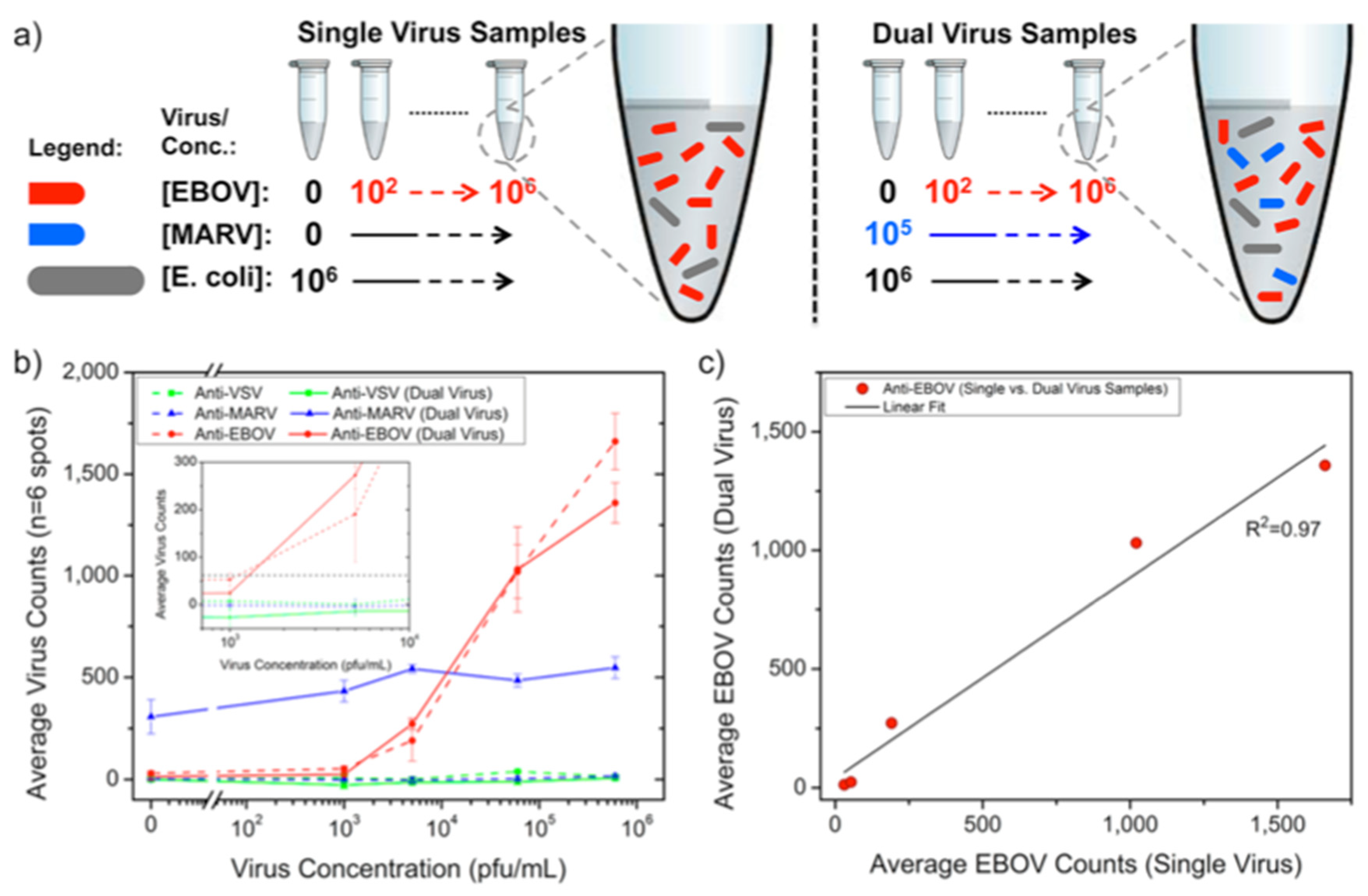 Preprints 71778 g017