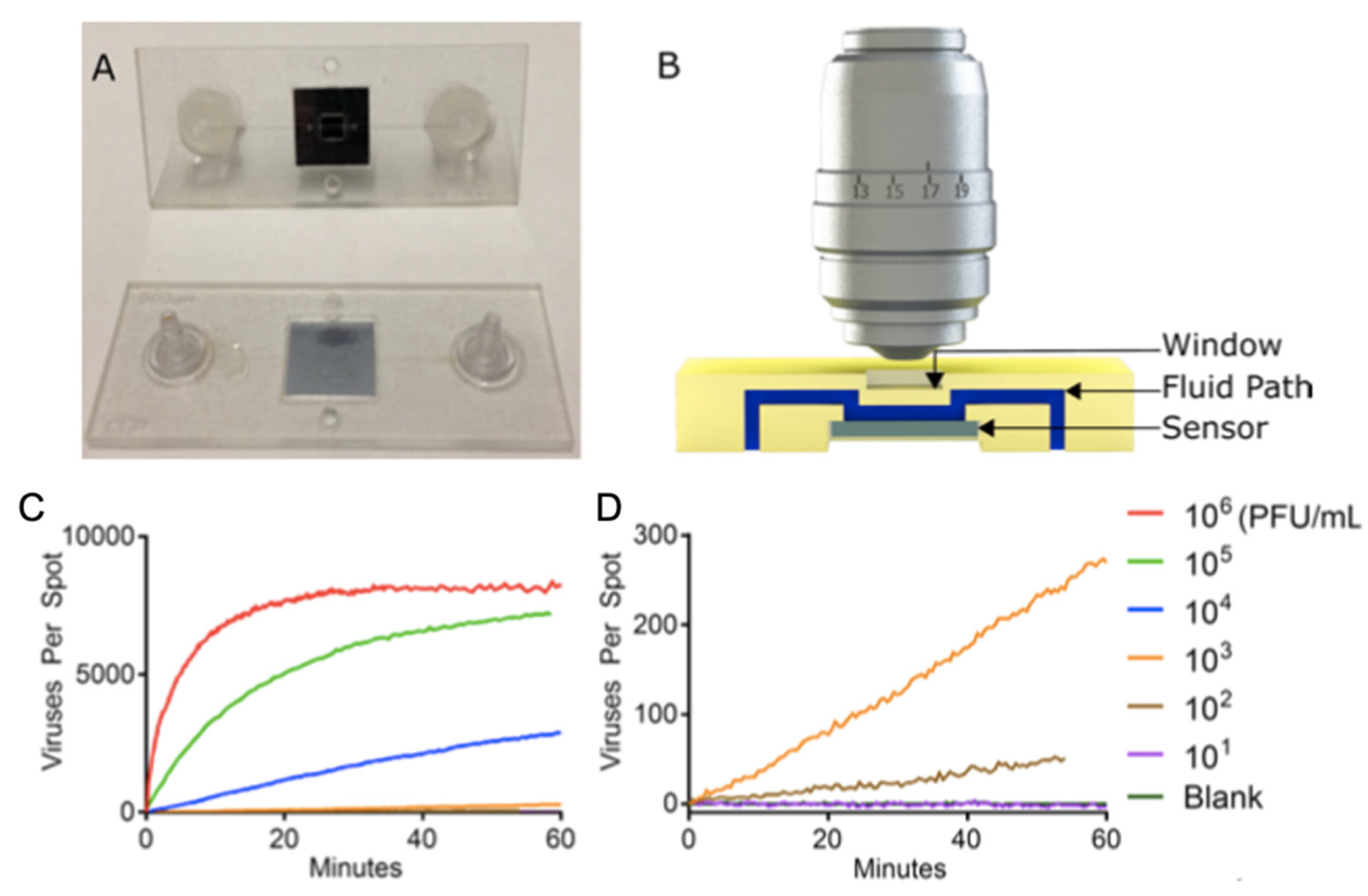 Preprints 71778 g018