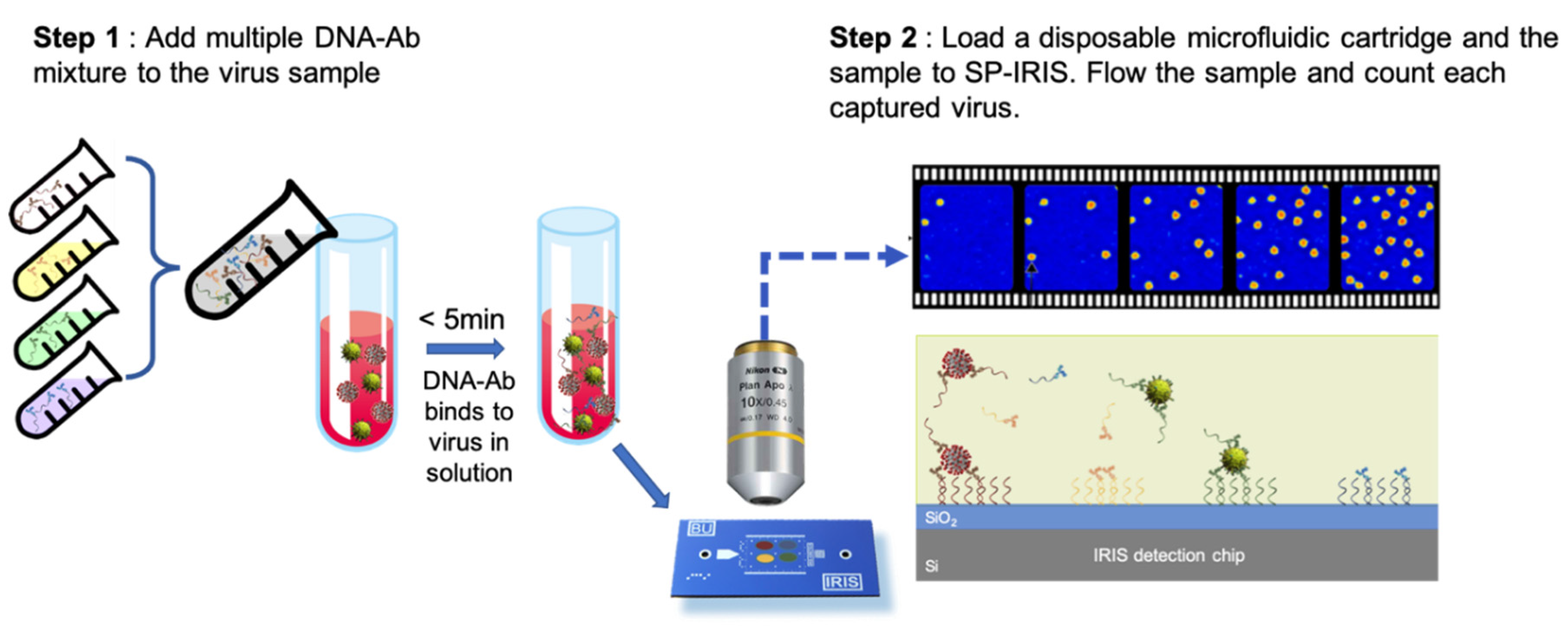 Preprints 71778 g019