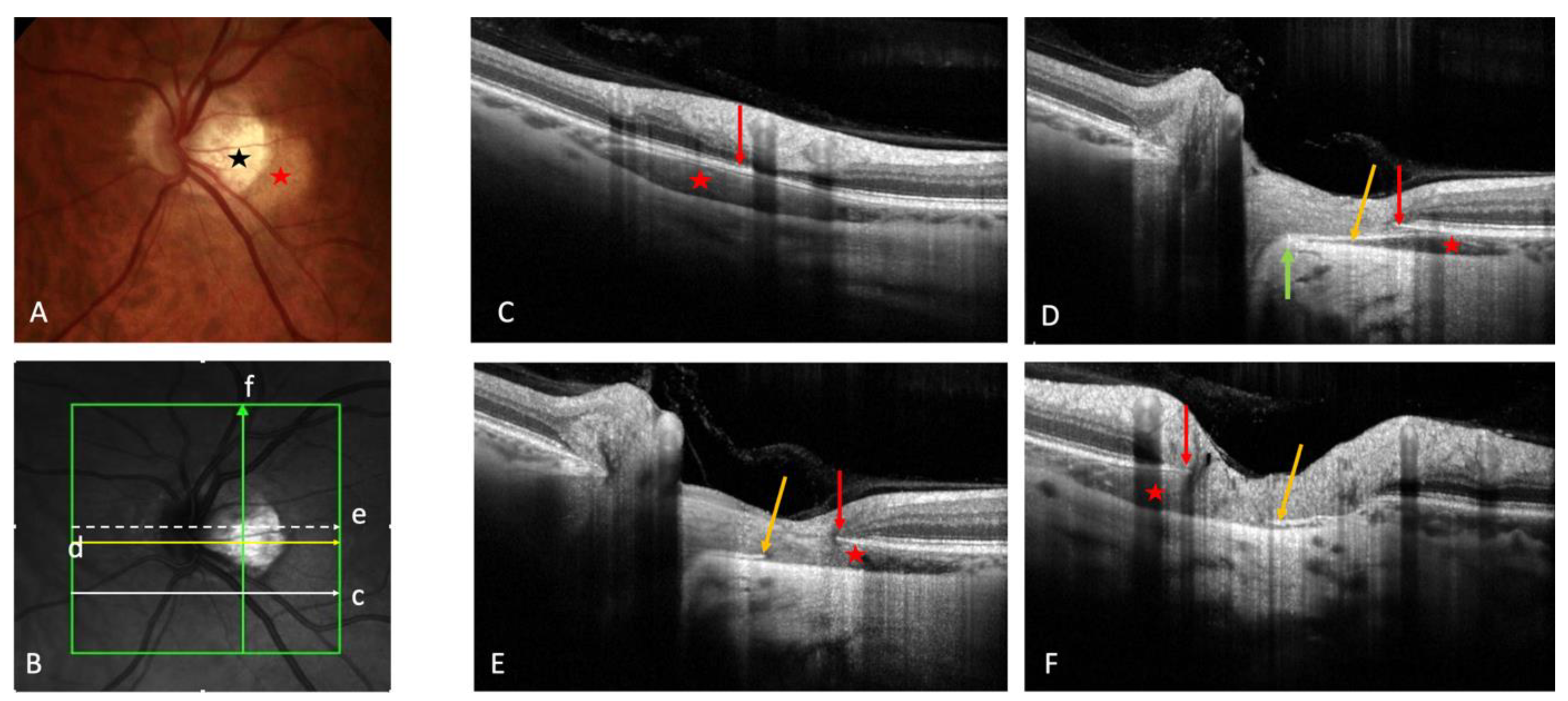 Preprints 73448 g001