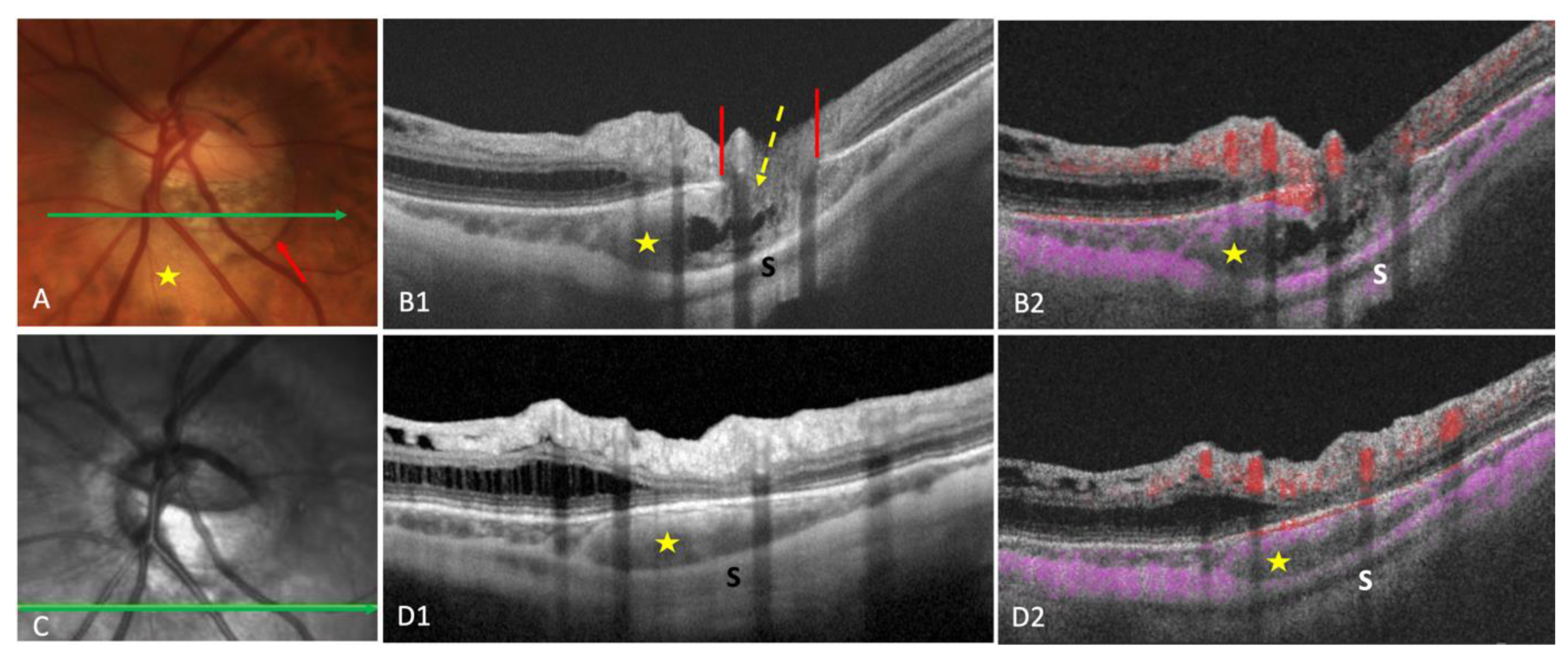 Preprints 73448 g003