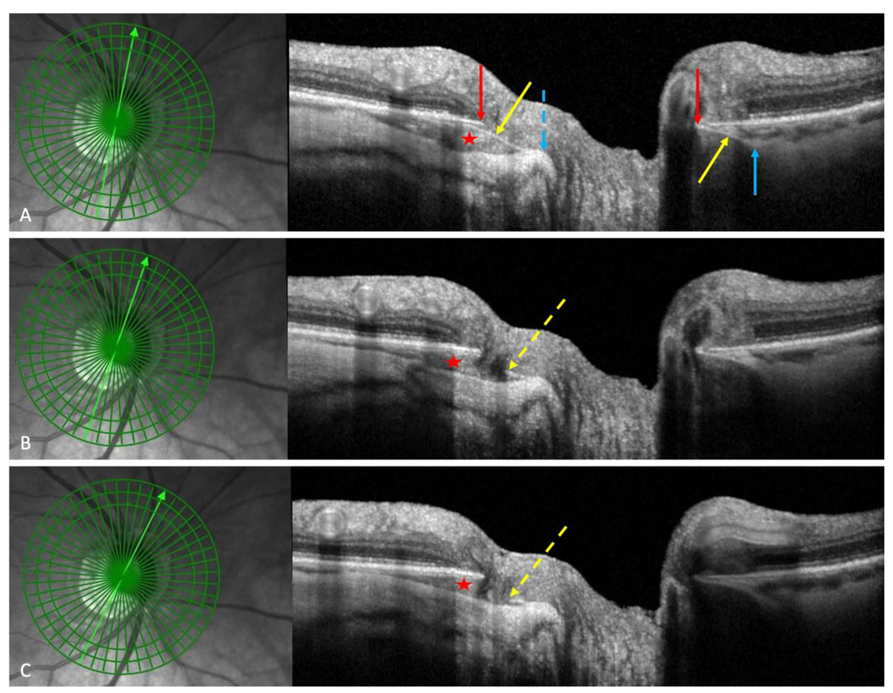Preprints 73448 g005