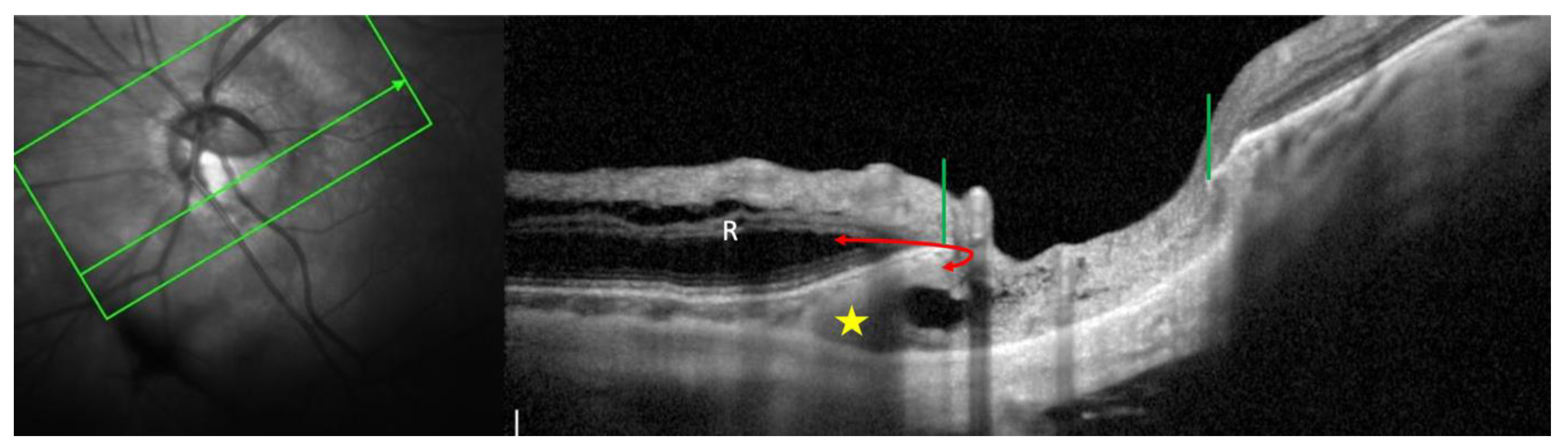 Preprints 73448 g006