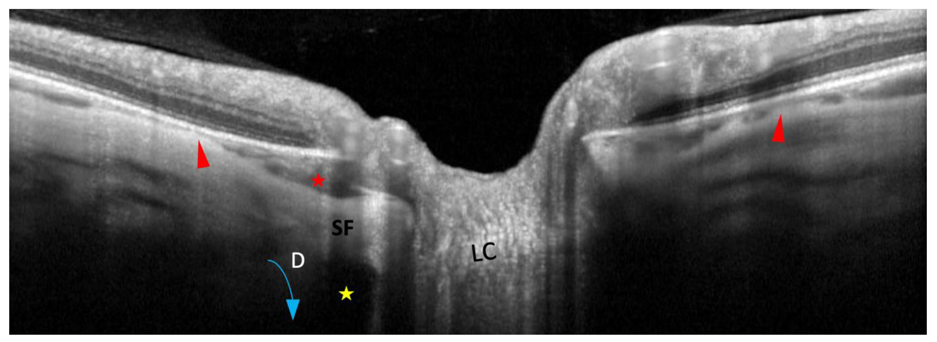 Preprints 73448 g008
