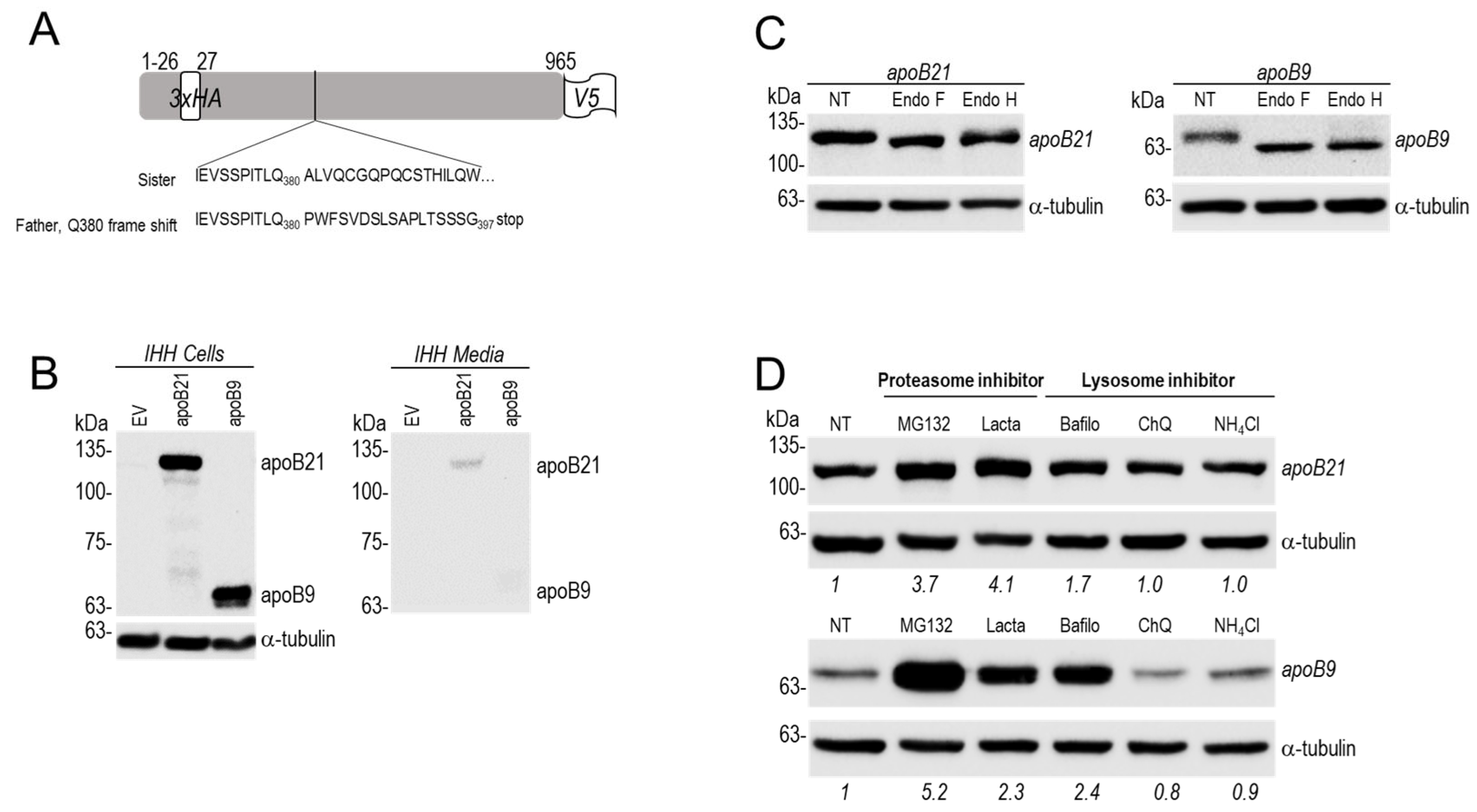 Preprints 185932 g006