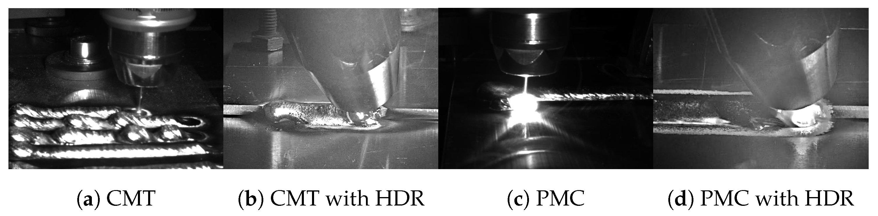 Preprints 152408 g001