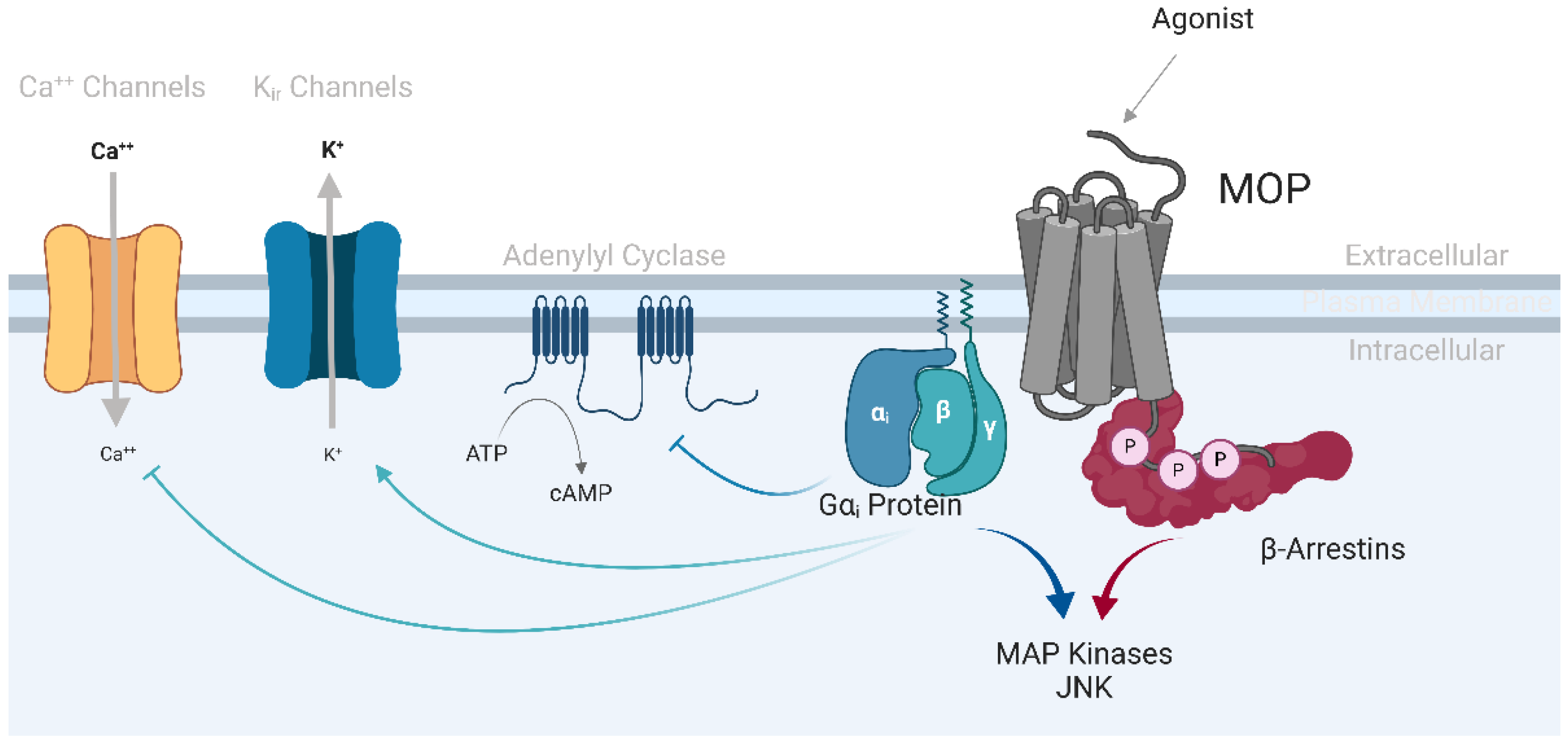 Preprints 149276 g001