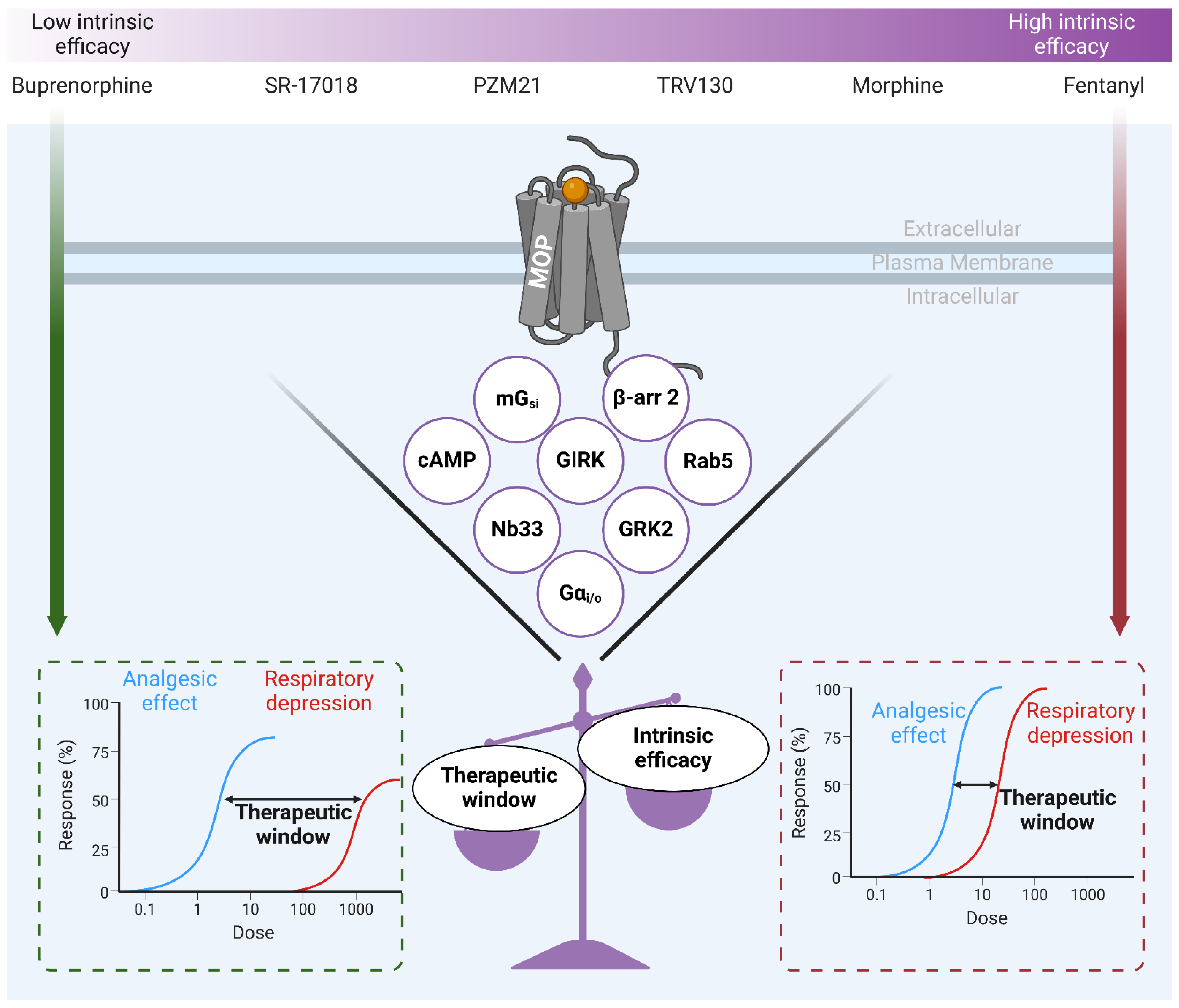 Preprints 149276 g004