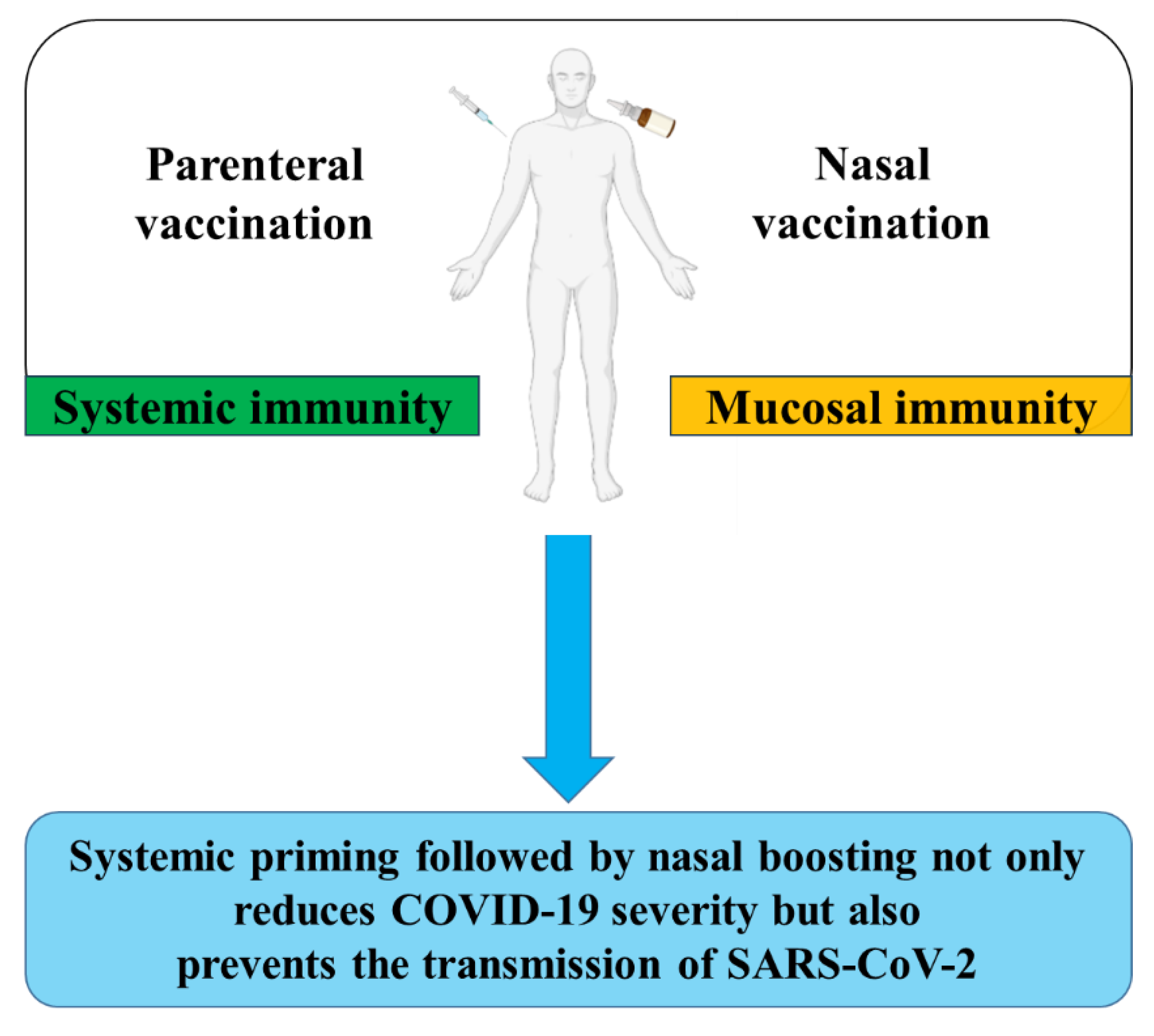 Preprints 109223 g002