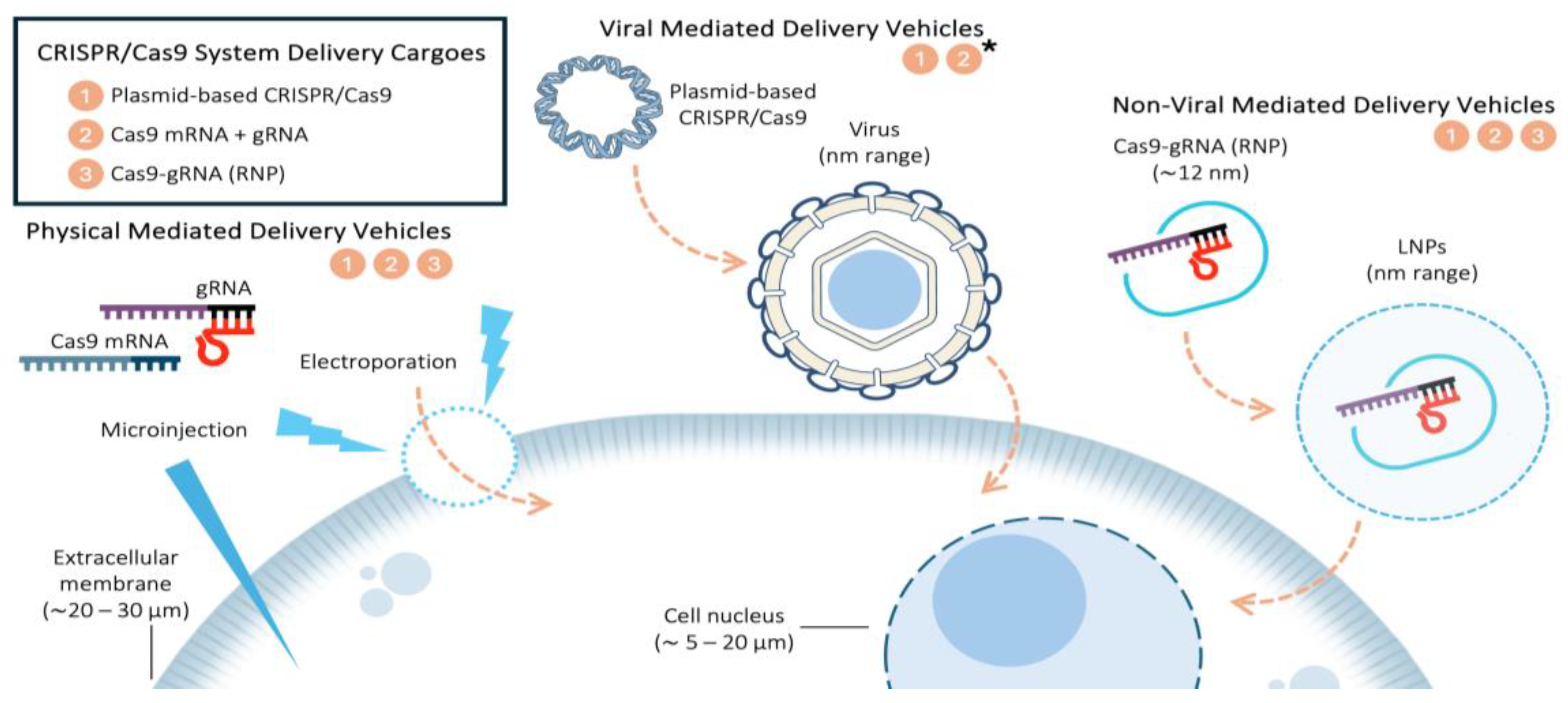 Preprints 153625 g001
