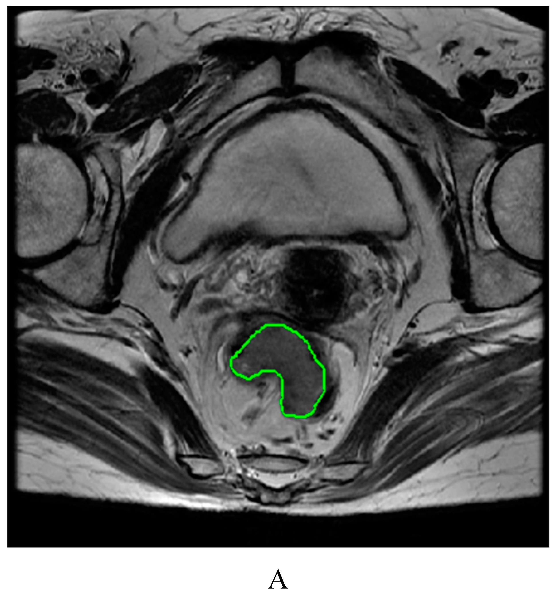 Preprints 94856 g002a