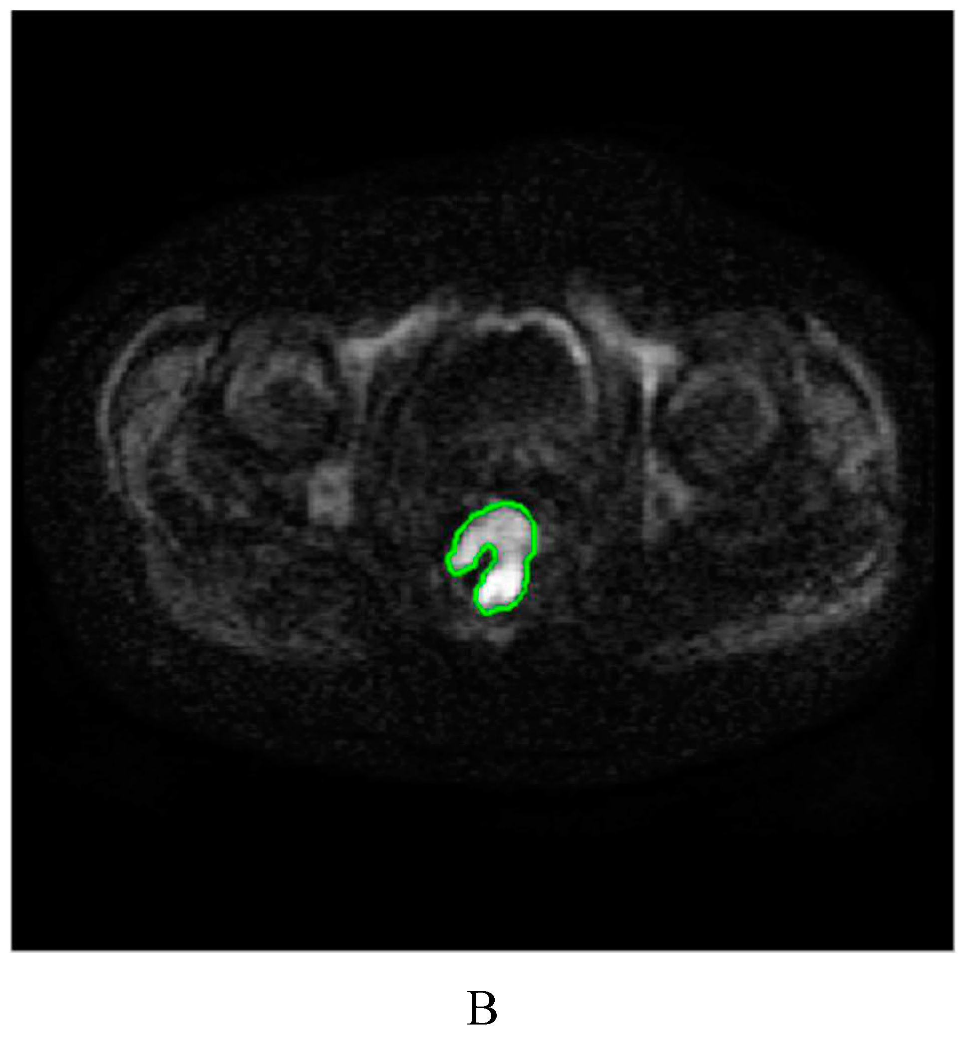 Preprints 94856 g002b