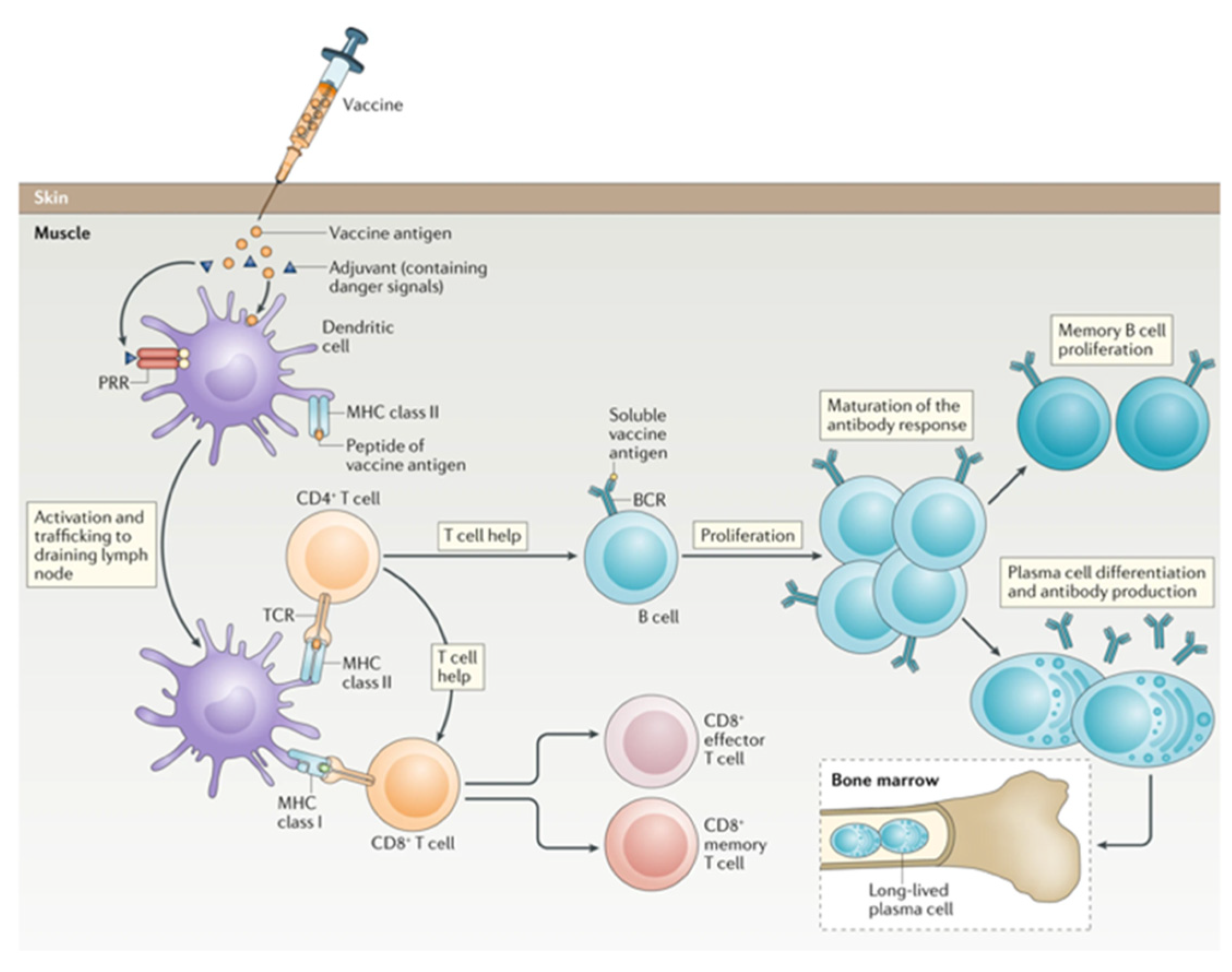 Preprints 172114 g001