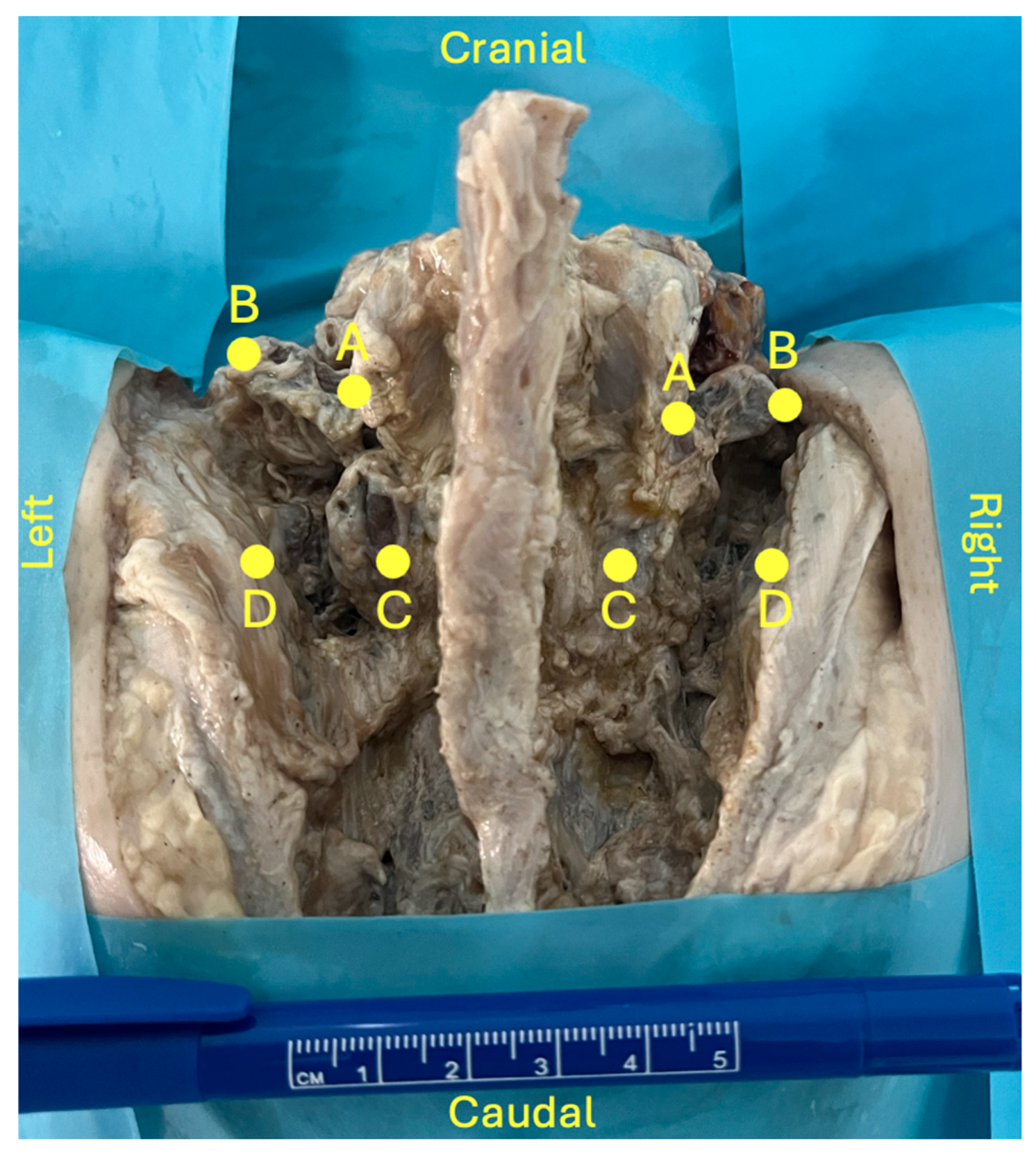 Preprints 196312 g001
