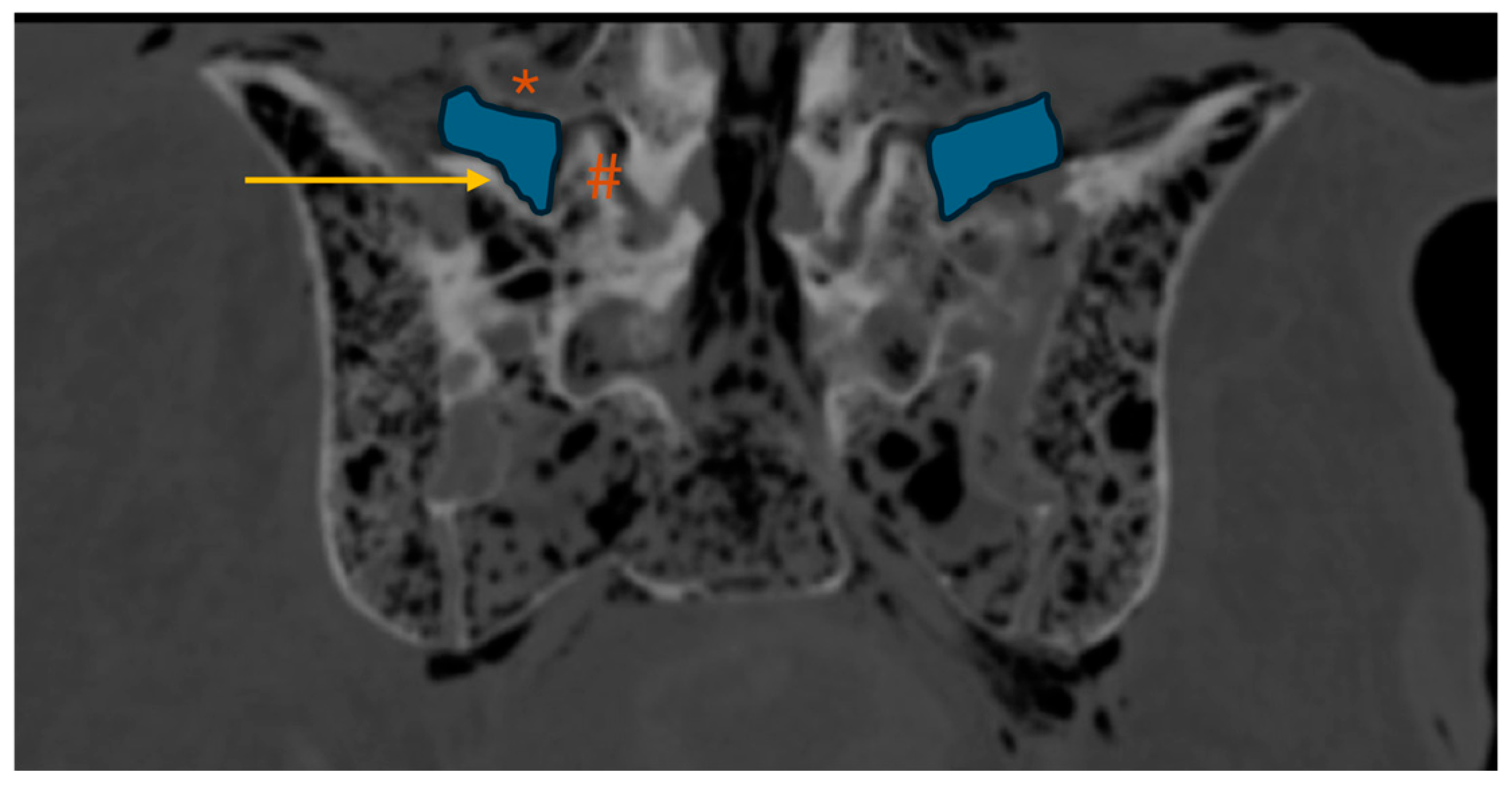 Preprints 196312 g004