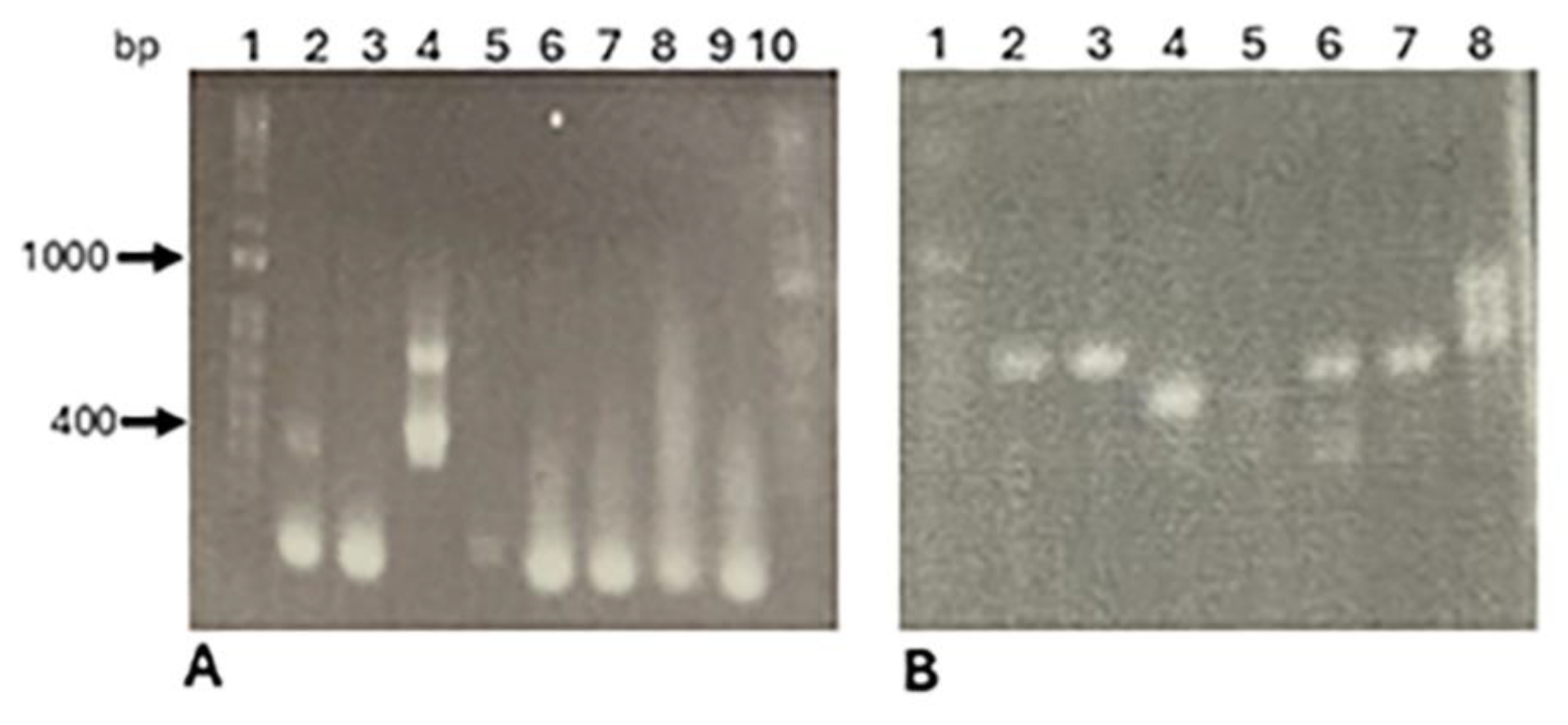 Preprints 141588 g002