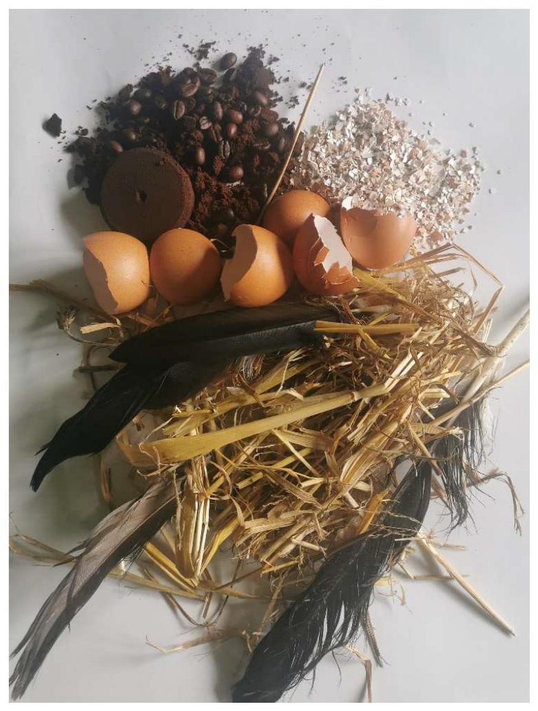 Preprints 149271 g004