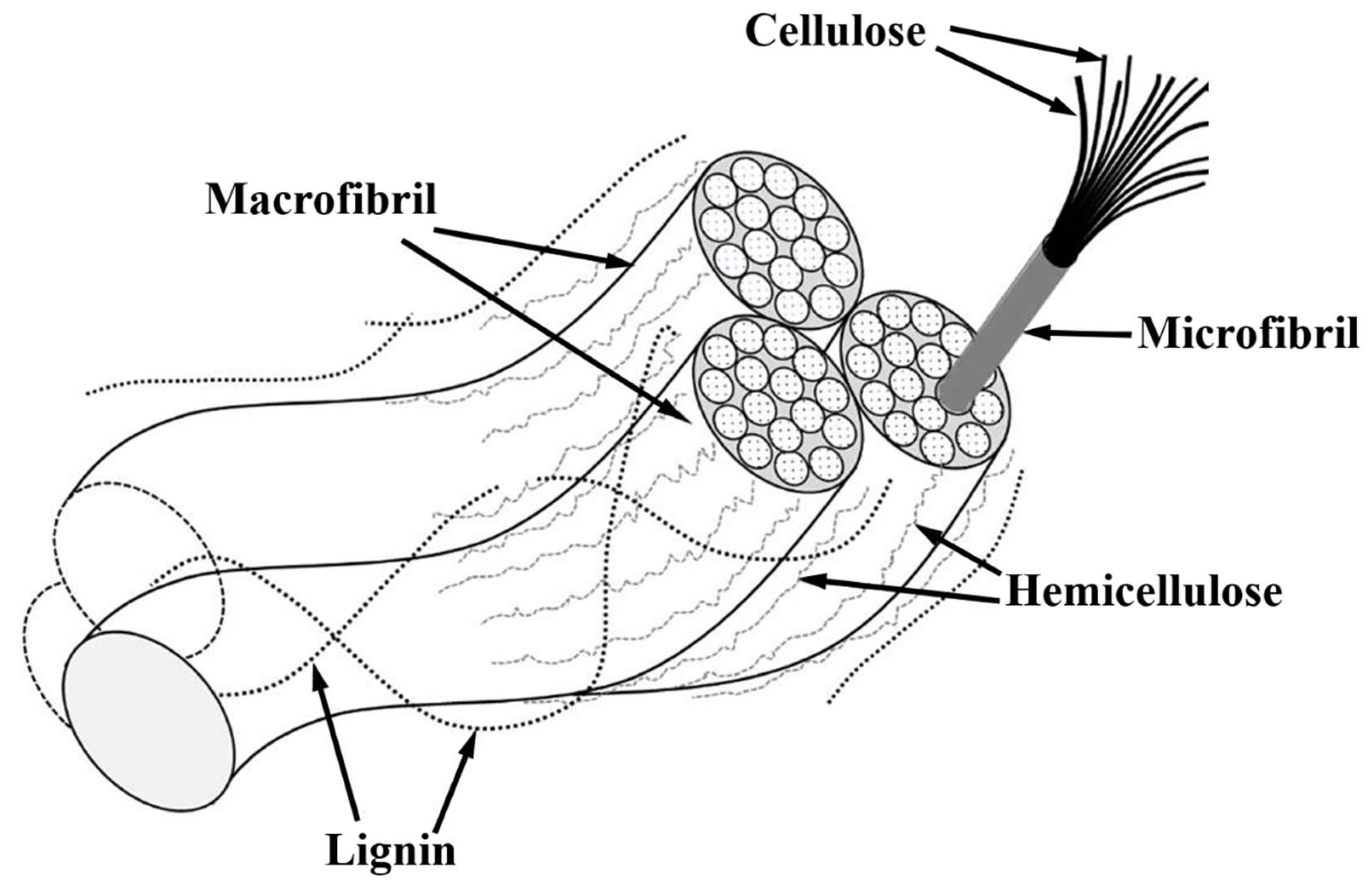 Preprints 149271 g005