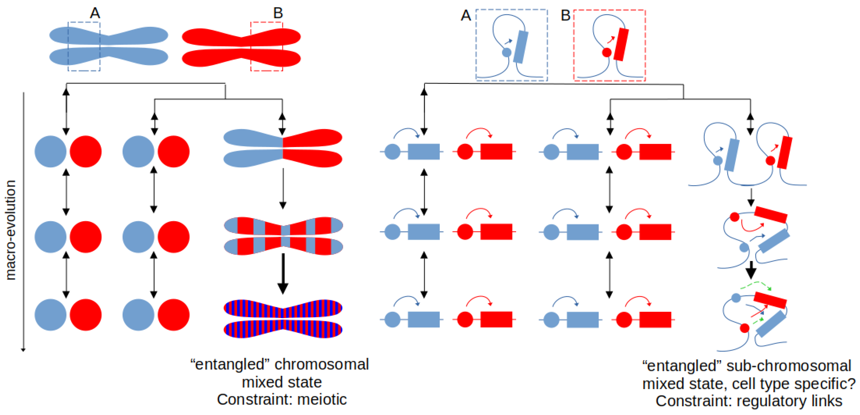 Preprints 151491 g001