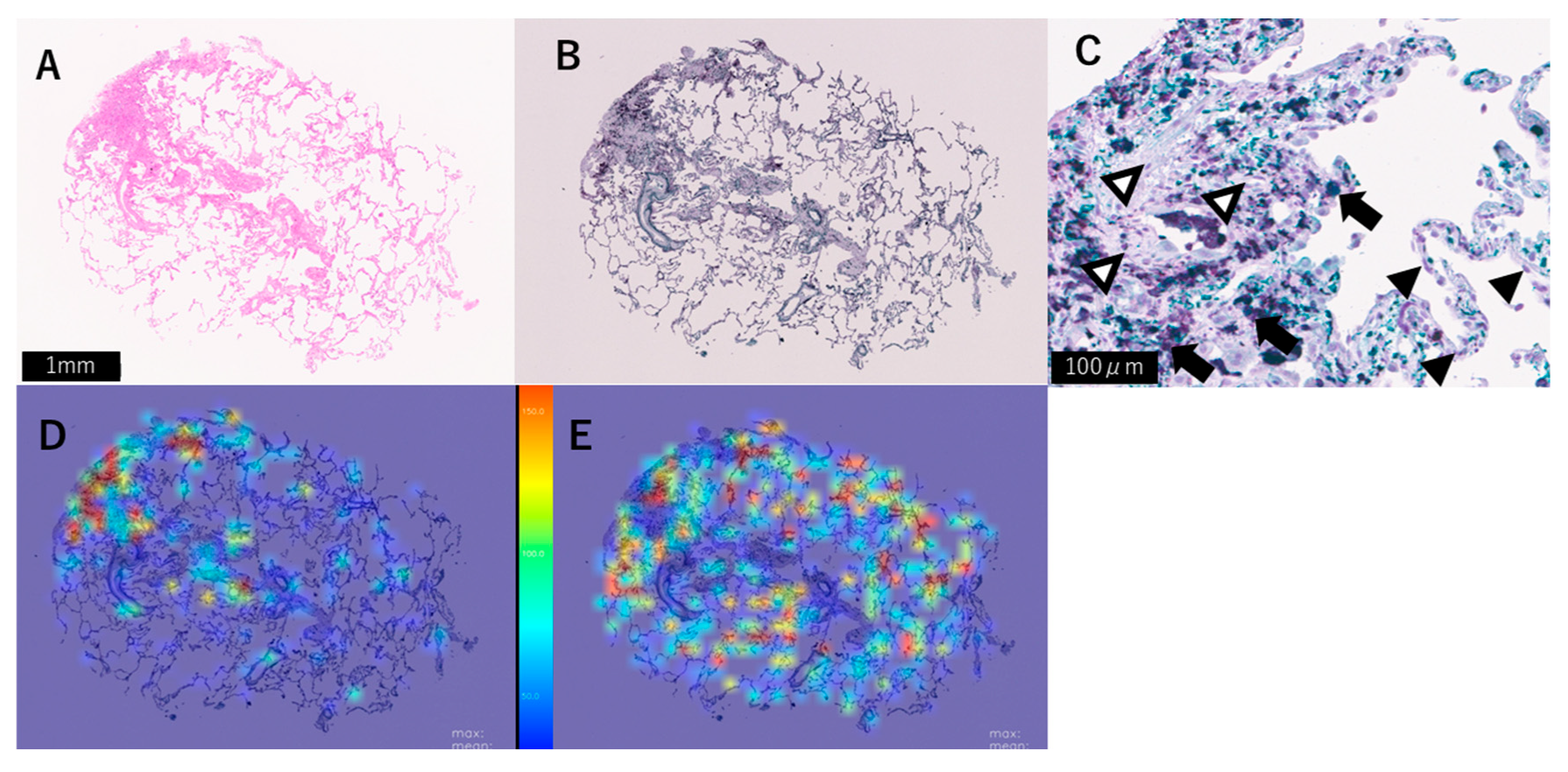Preprints 232618 g001 Preprints 232618 g001