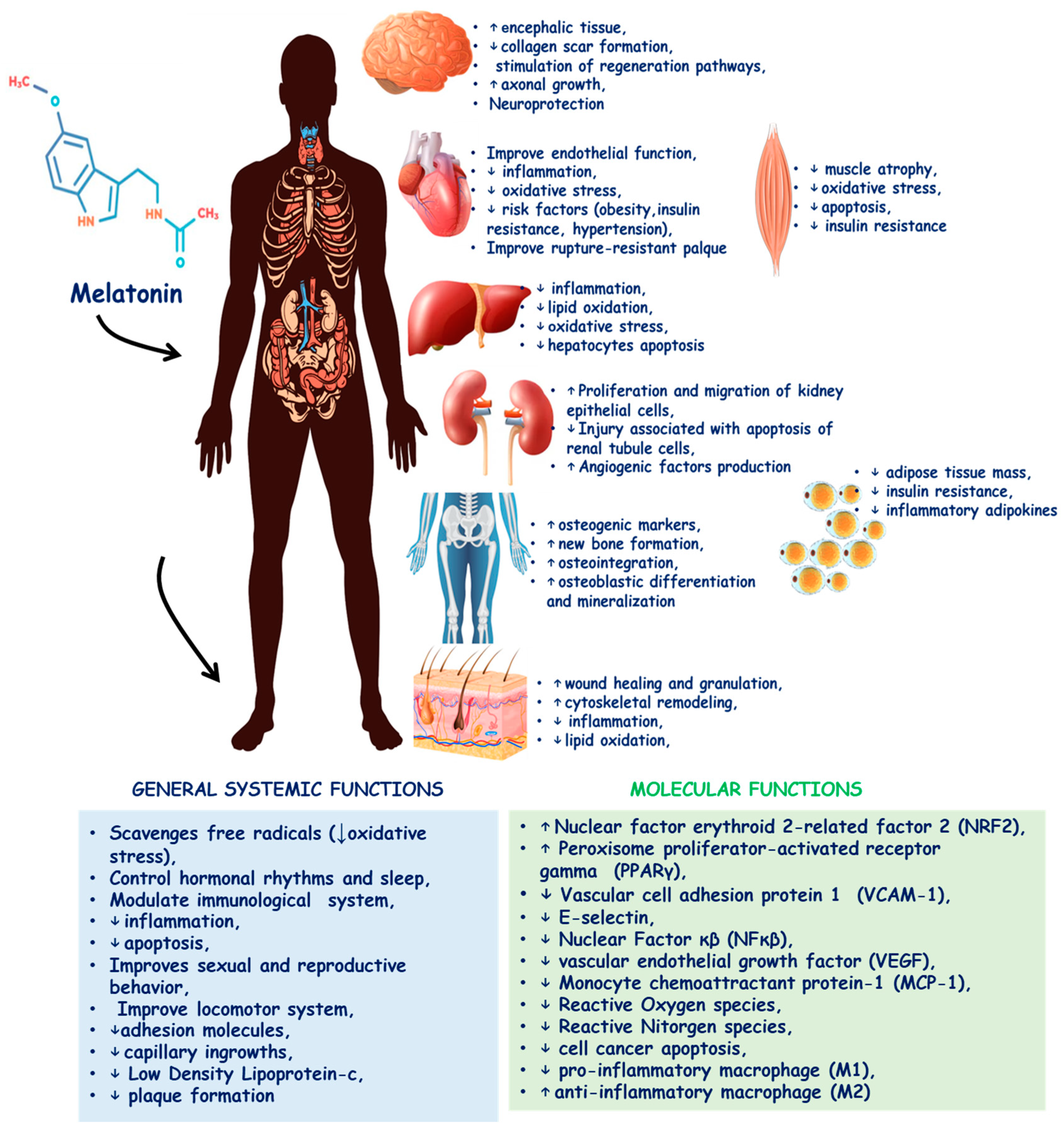 Preprints 145344 g001