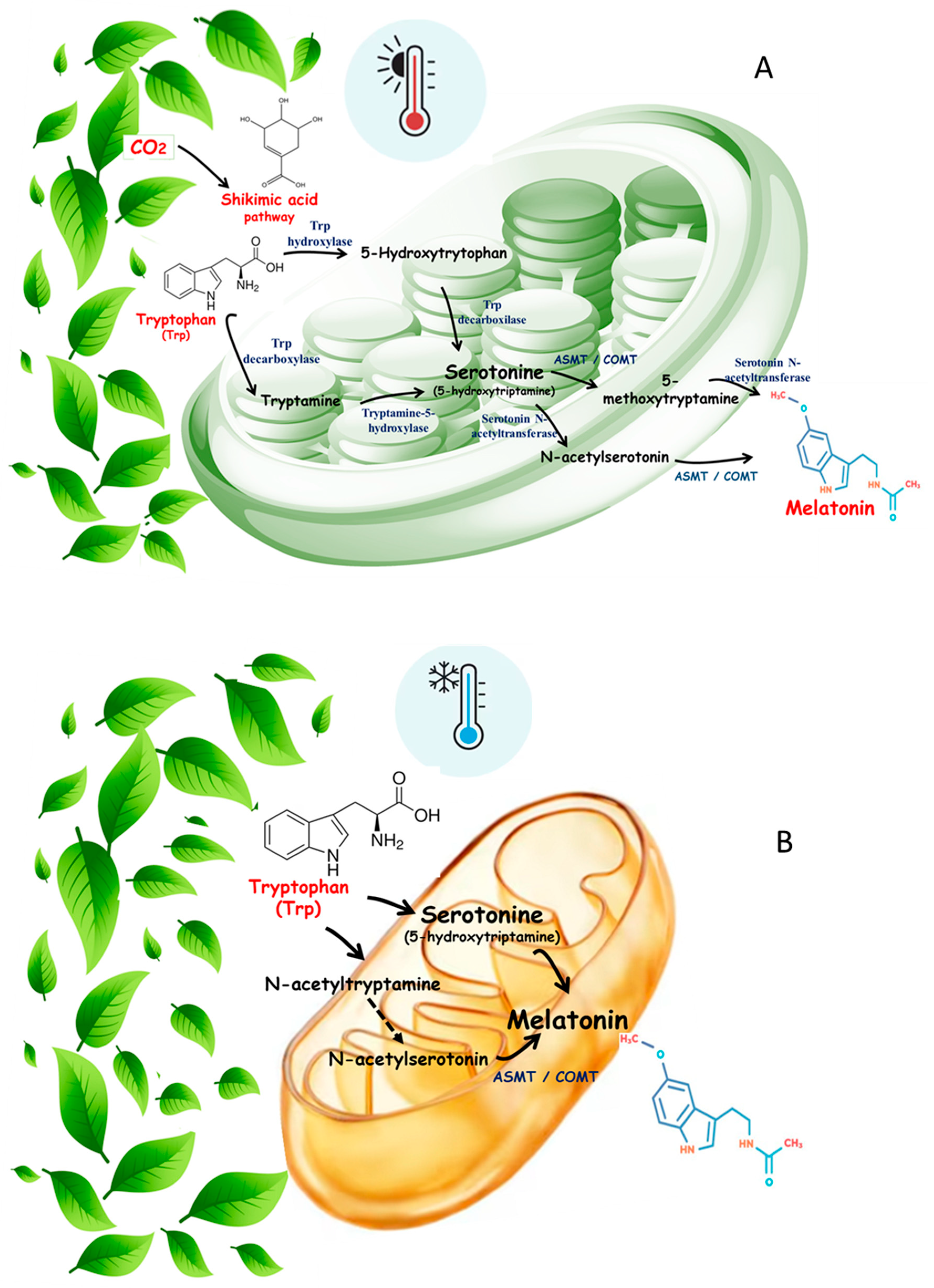 Preprints 145344 g002