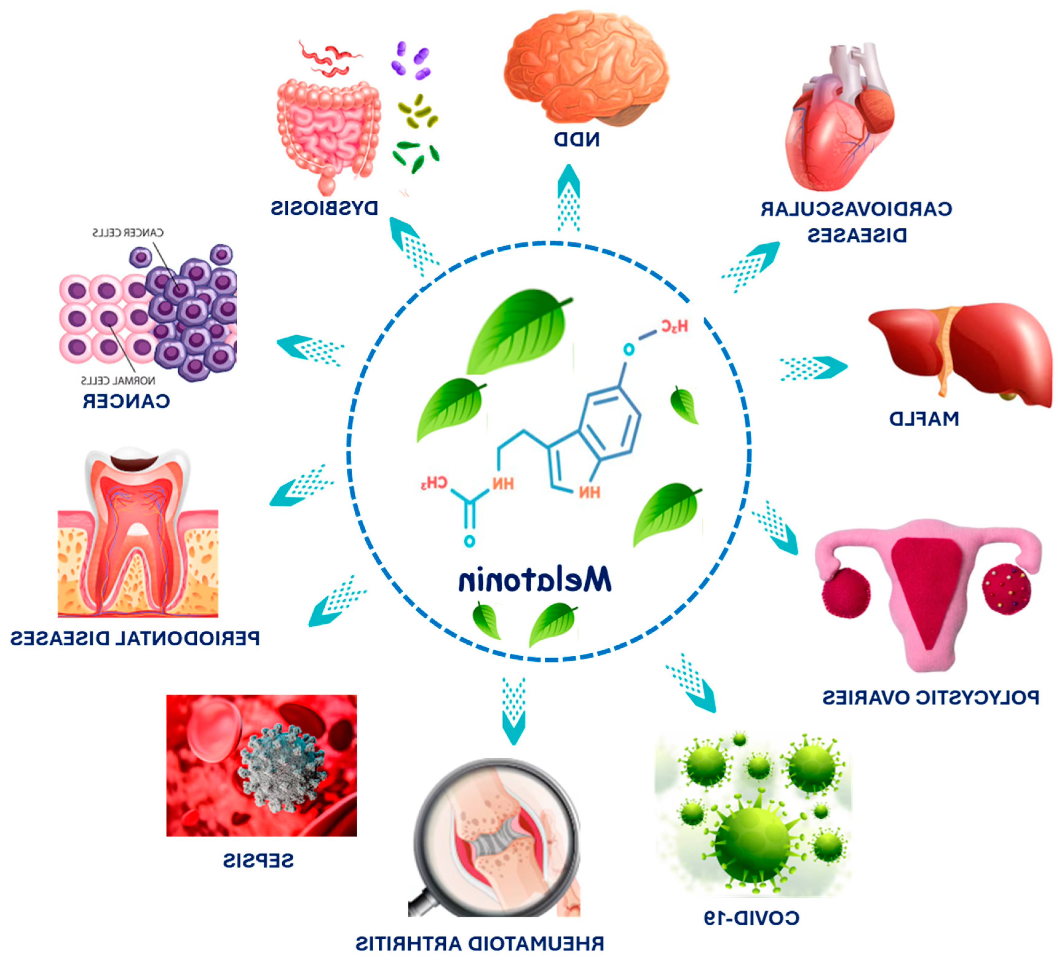 Preprints 145344 g003