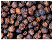 Preprints 145344 i002