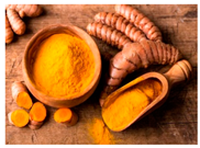 Preprints 145344 i004