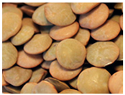 Preprints 145344 i006