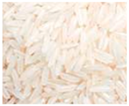 Preprints 145344 i008